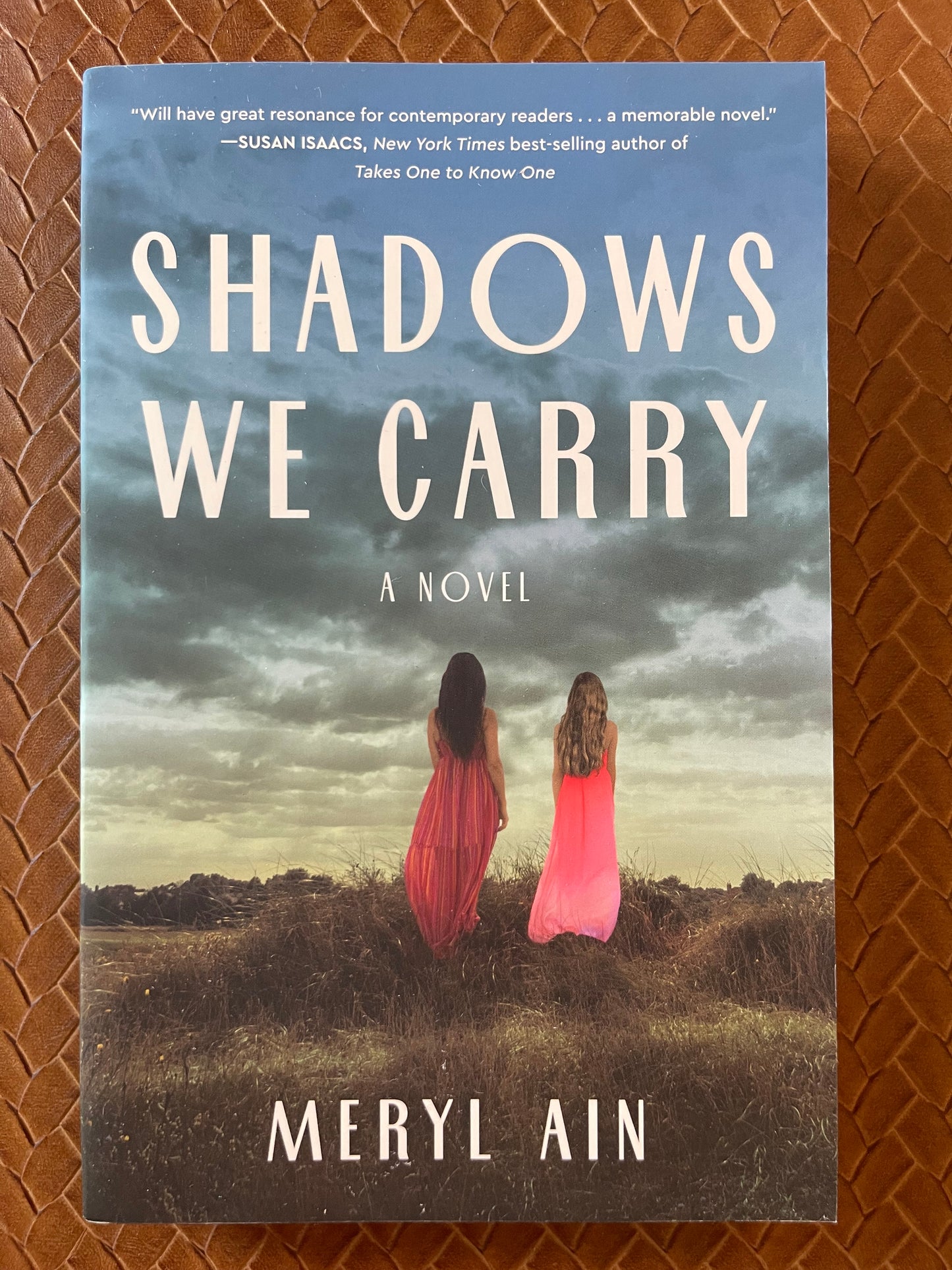 Shadows We Carry by Meryl Ain (Paperback)