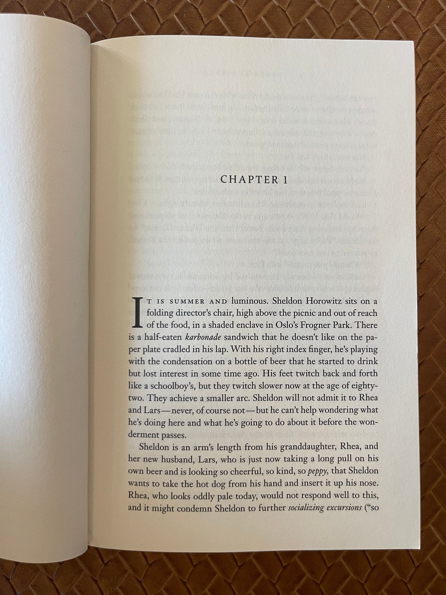Sigrid Ødegård #1: Norwegian by Night by Derek B. Miller (Paperback)