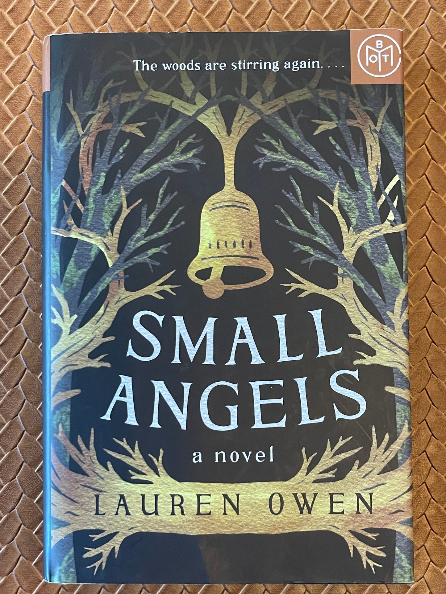 Small Angels by Lauren Owen (Hardcover)