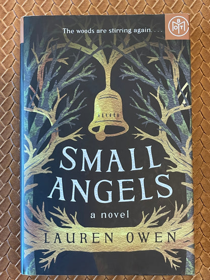 Small Angels by Lauren Owen (Hardcover)
