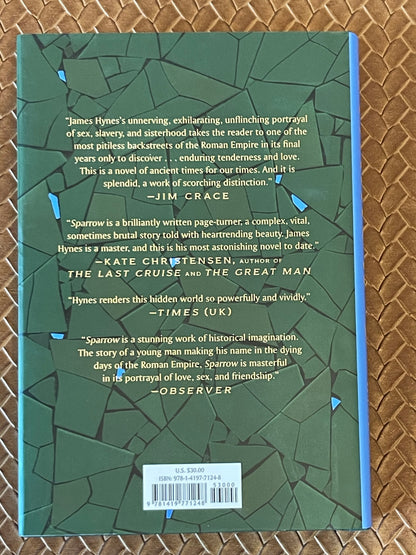 Sparrow by James Hynes (Hardcover)