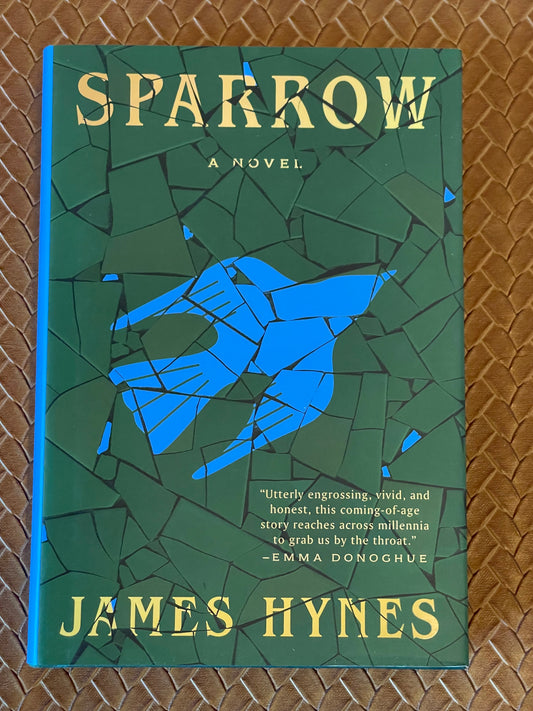 Sparrow by James Hynes (Hardcover)
