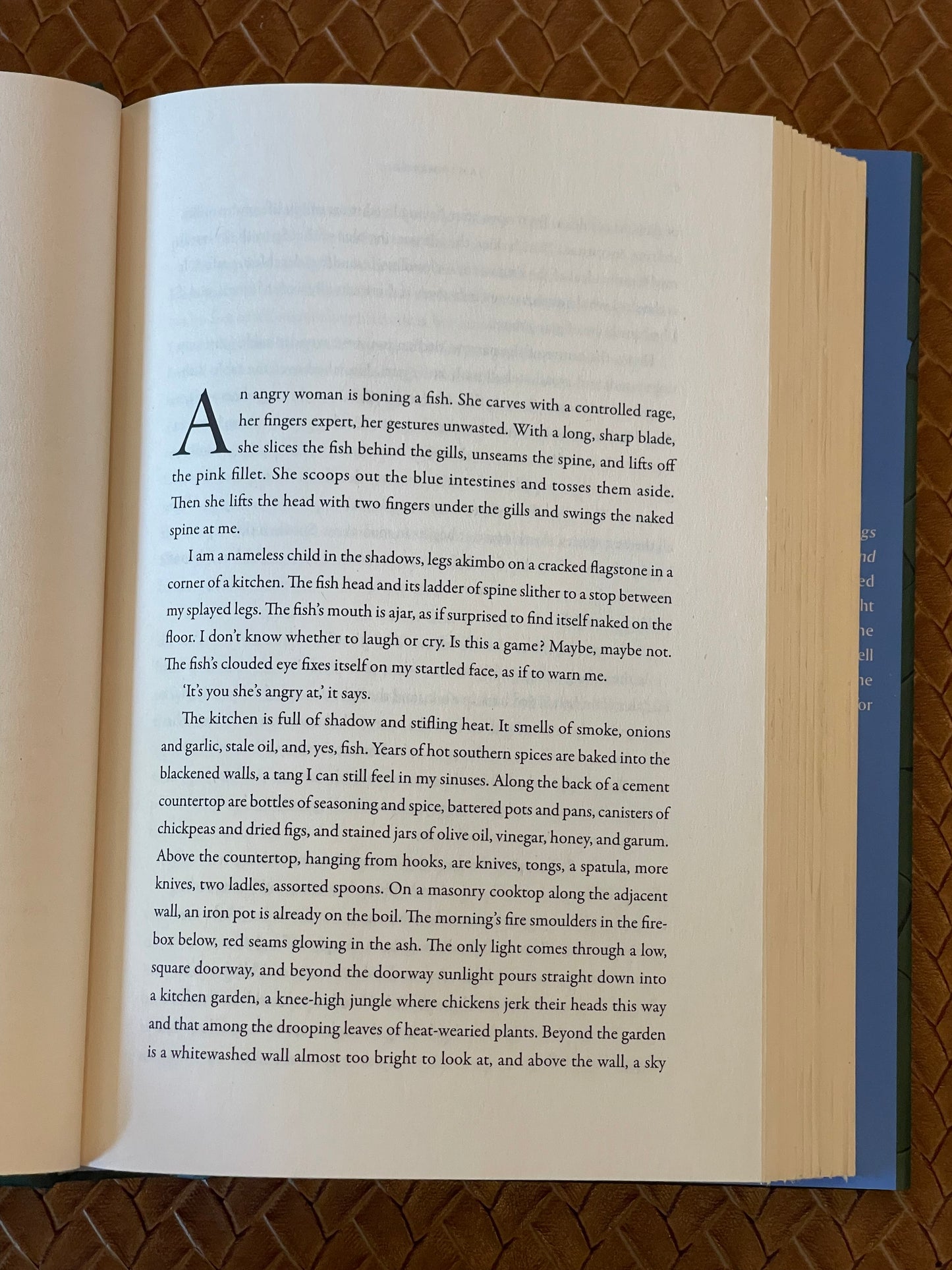 Sparrow by James Hynes (Hardcover)