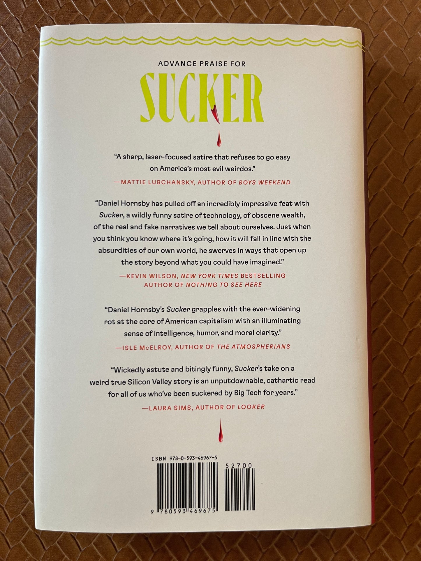 Sucker: A Novel by Daniel Hornsby (Hardcover)