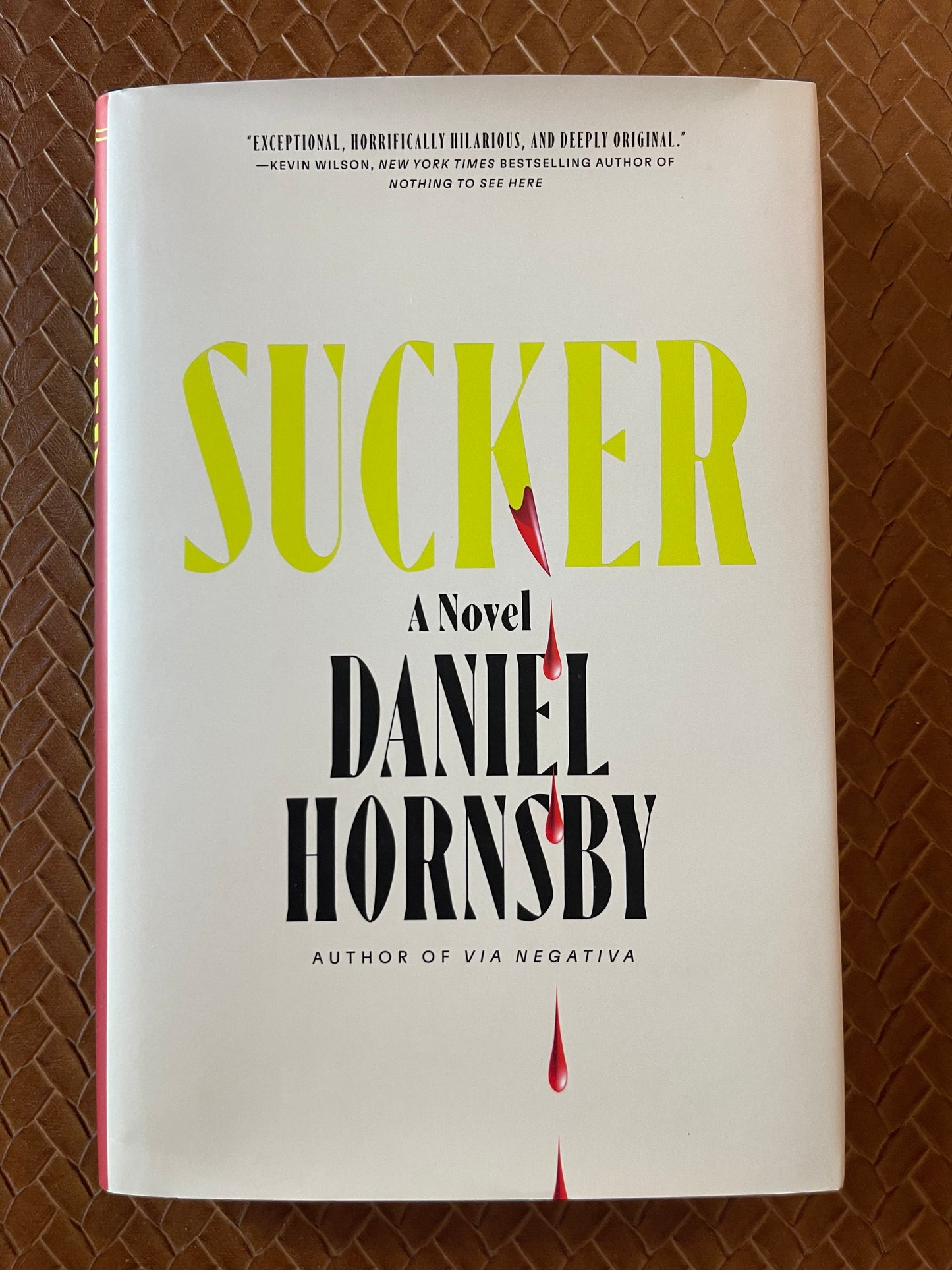 Sucker: A Novel by Daniel Hornsby (Hardcover)