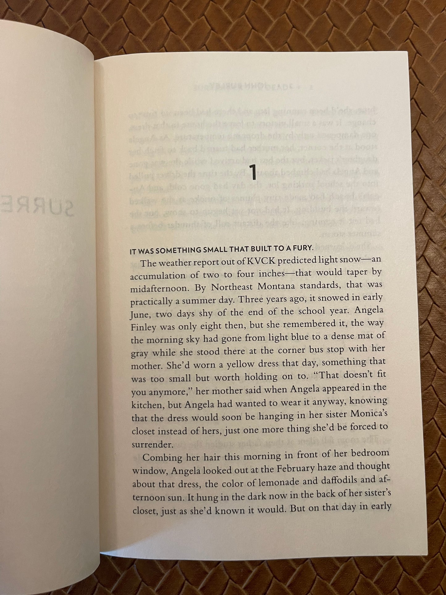 Surrender the Dead by John Burley (Paperback)