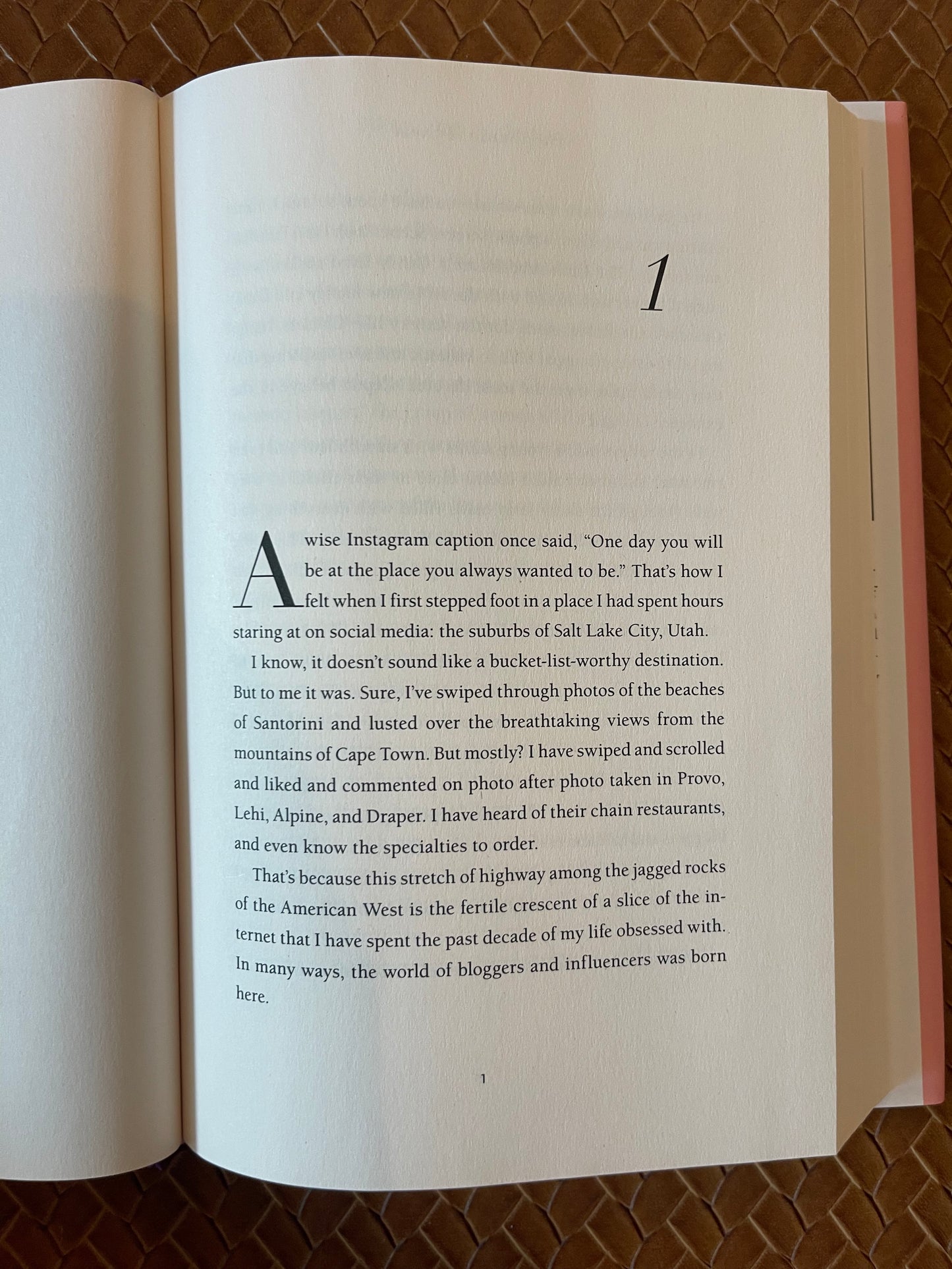Swipe Up for More!: Inside the Unfiltered Lives of Influencers by Stephanie McNeal (Hardcover)