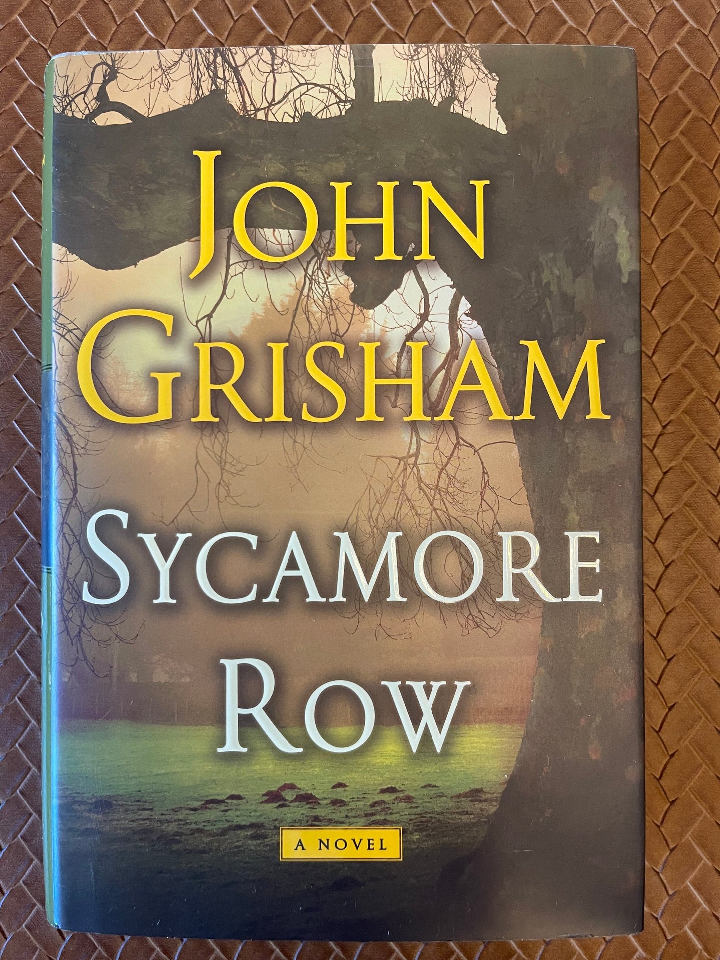 Sycamore Row by John Grisham