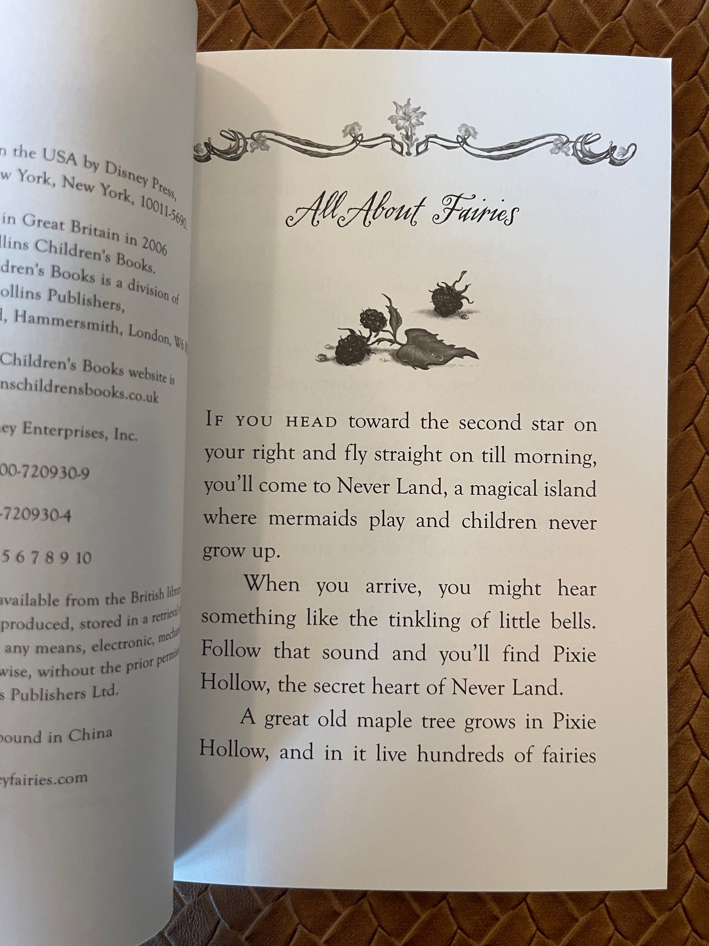 Tales of Pixie Hollow #1: The Trouble With Tink by Kiki Thorpe, Judith H. Clarke