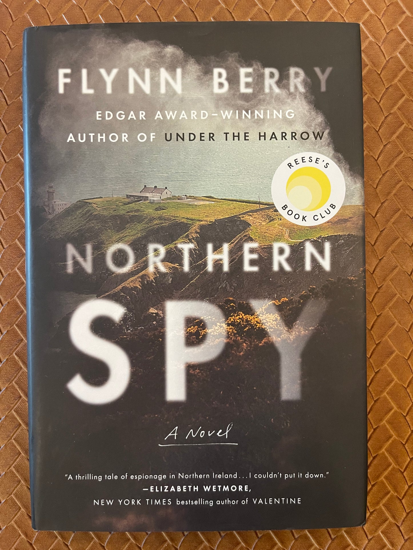 Tessa Daly #1: Northern Spy by Flynn Berry (Hardcover)