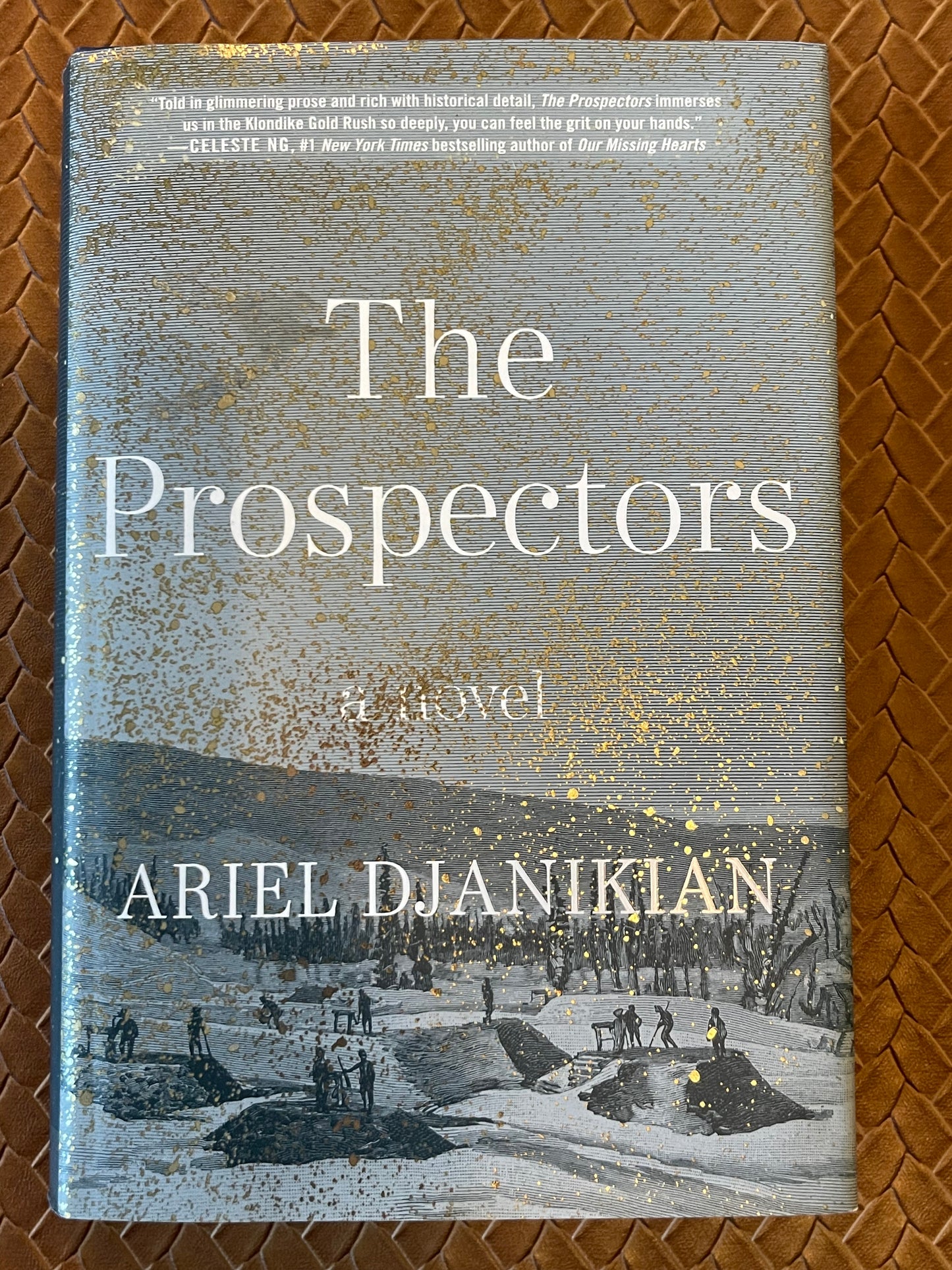 The Prospectors by Ariel Djanikian (Hardcover)