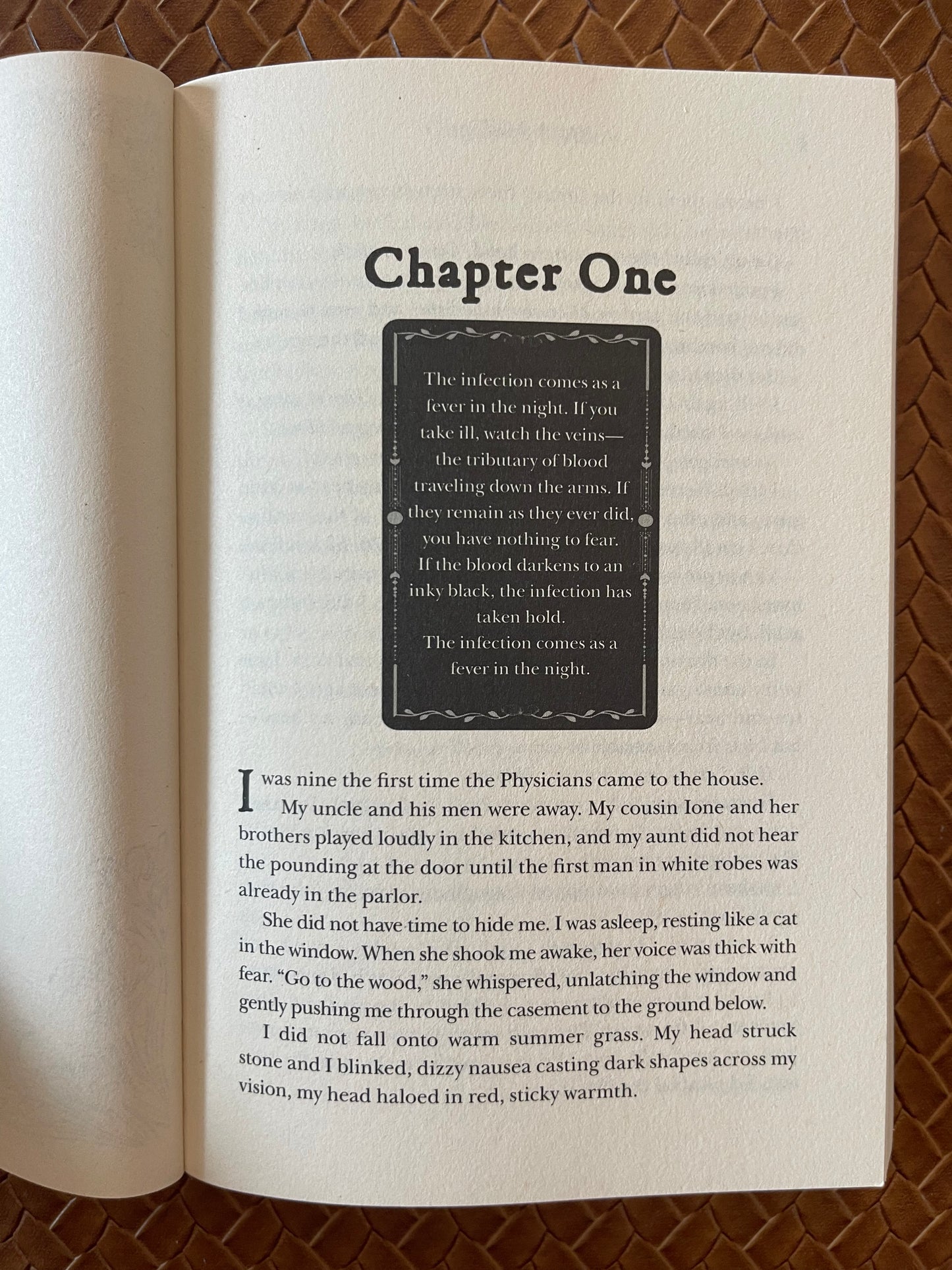 The Shepherd King by Rachel Gillig Book Bundle (Paperback)