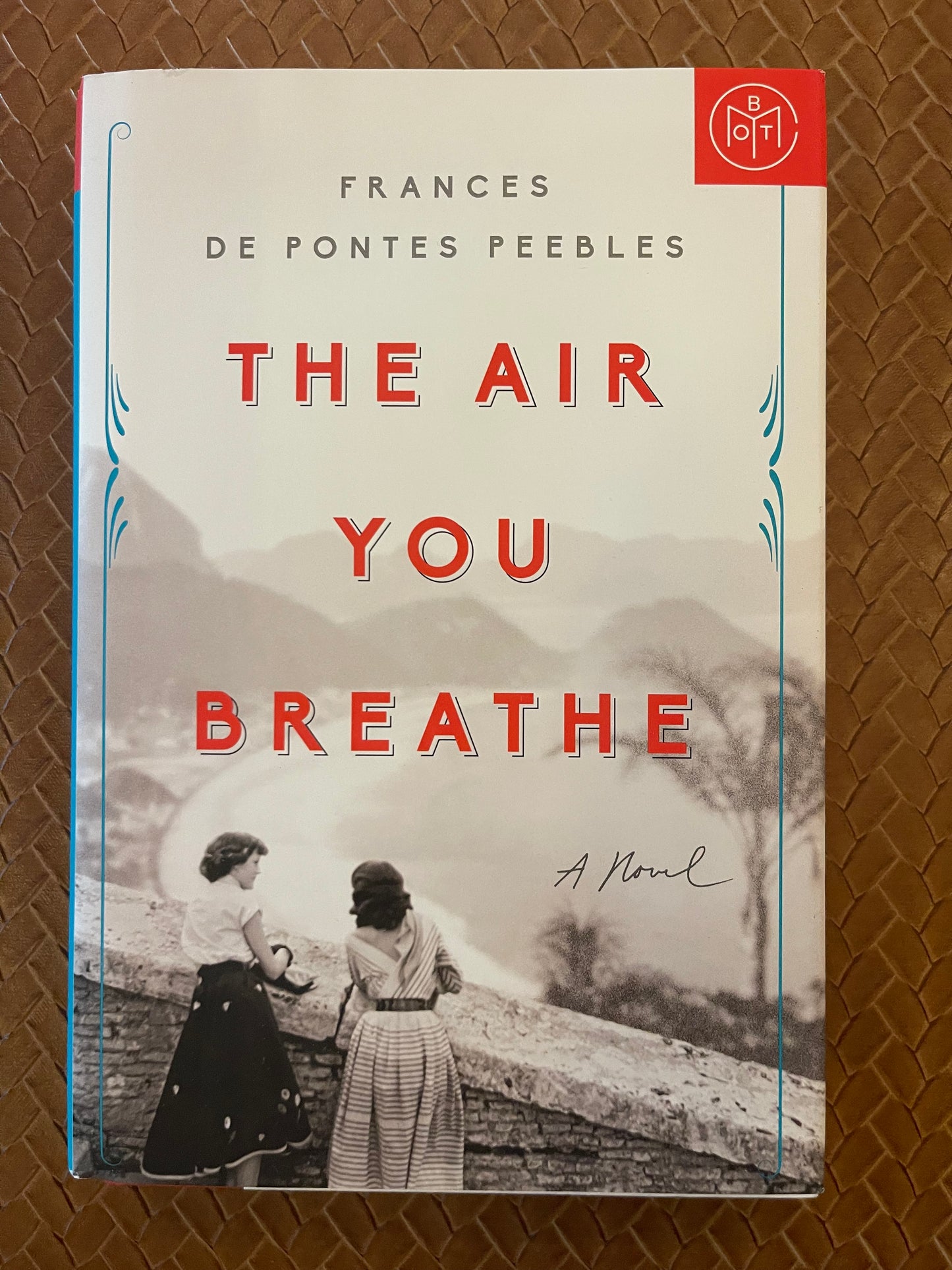 The Air You Breathe by Frances de Pontes Peebles (Hardcover)