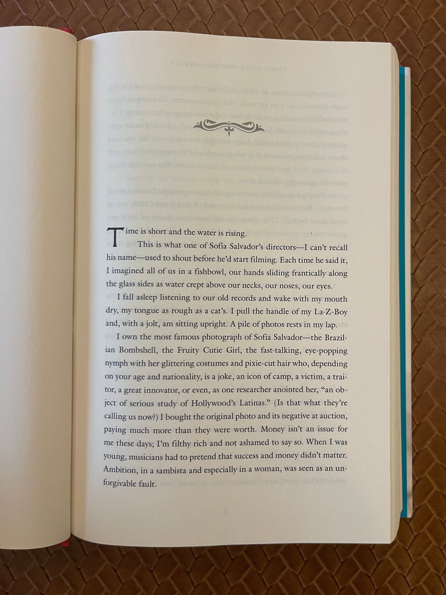 The Air You Breathe by Frances de Pontes Peebles (Hardcover)
