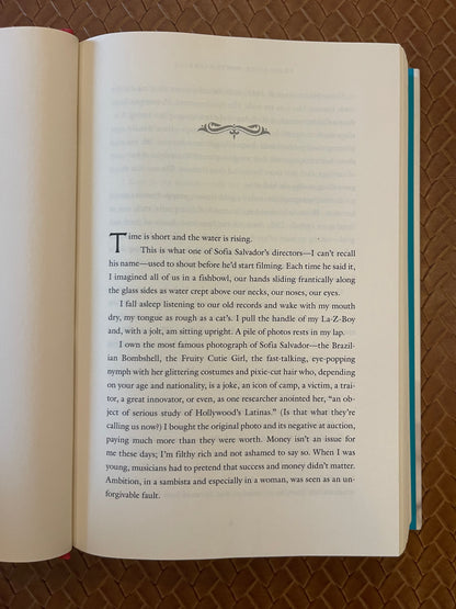 The Air You Breathe by Frances de Pontes Peebles (Hardcover)