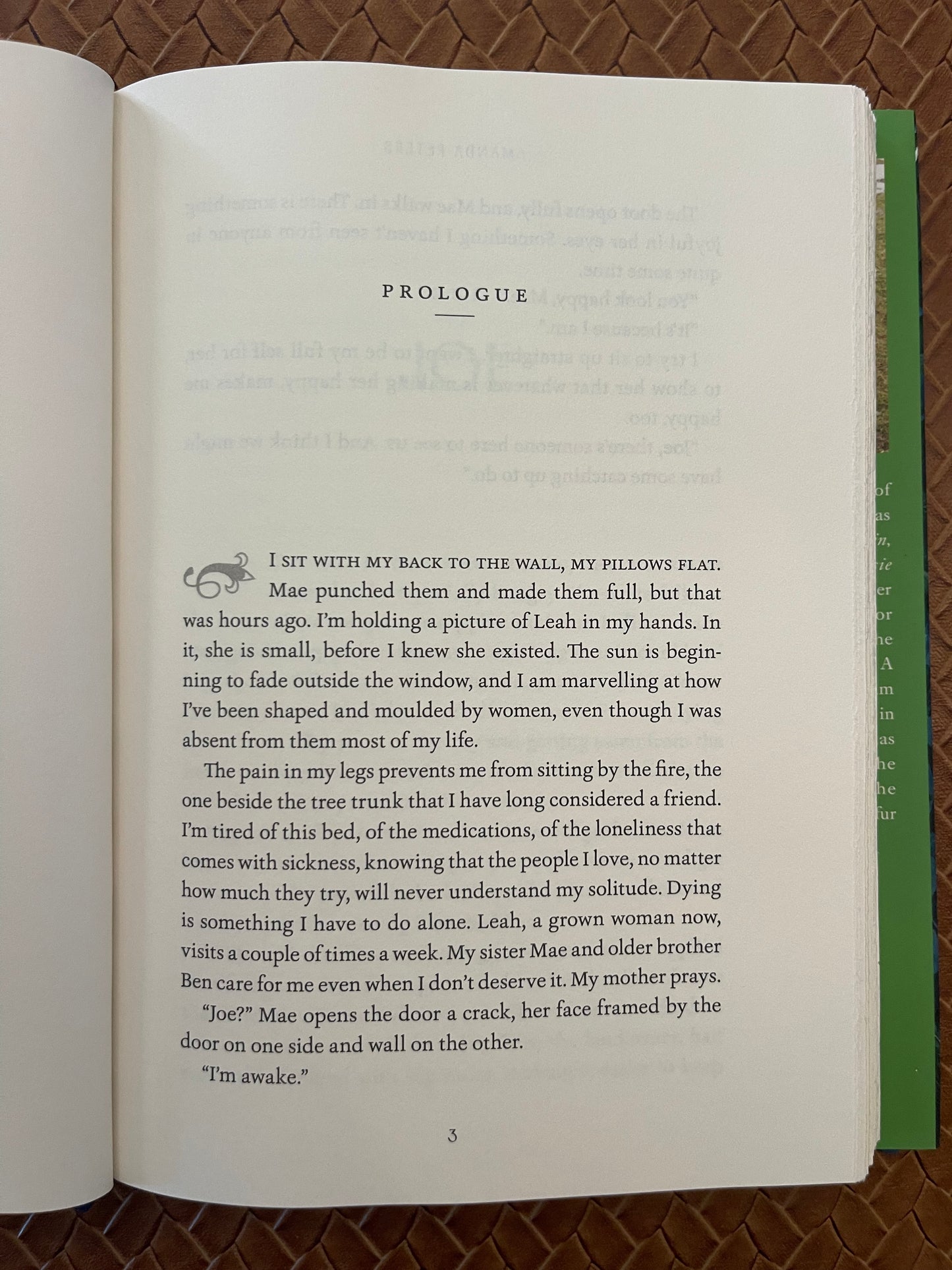 The Berry Pickers: A Novel by Amanda Peters (Hardcover)