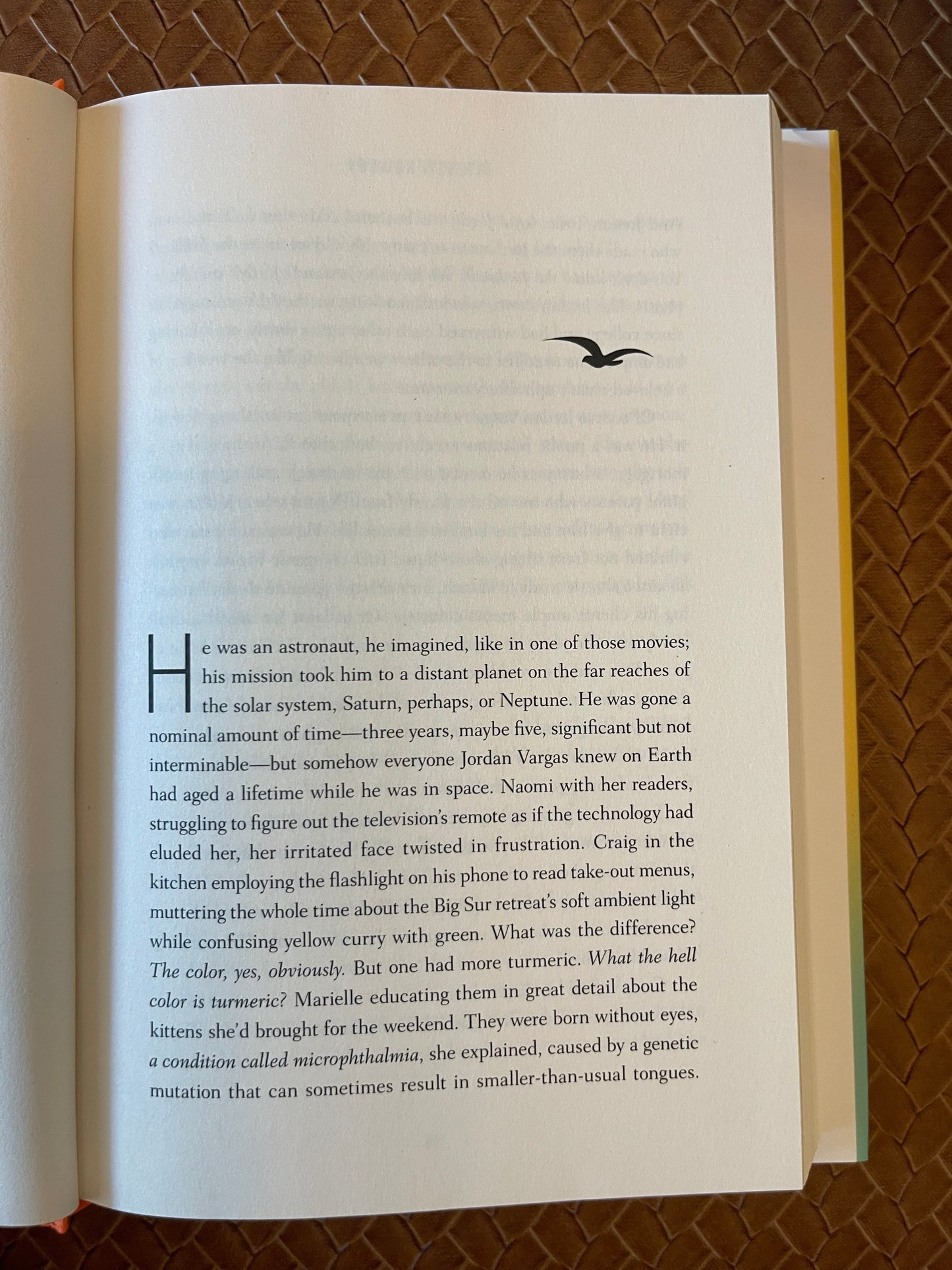 The Celebrants by Steven Rowley (Hardcover)