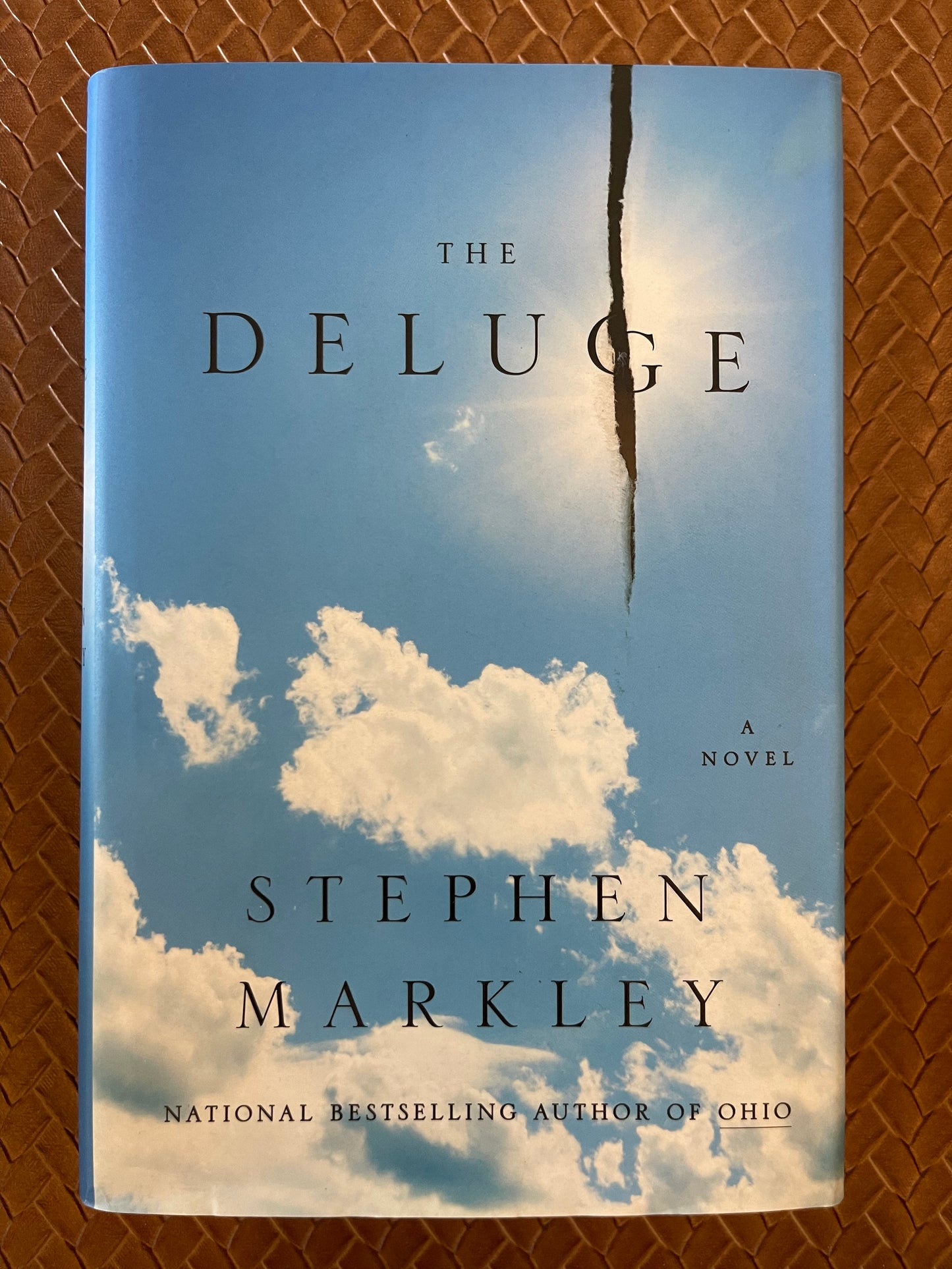 The Deluge by Stephen Markley (Hardcover)