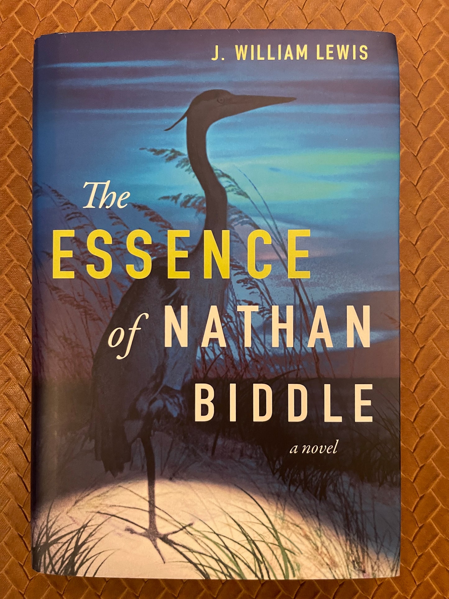 The Essence of Nathan Biddle by J. William Lewis (Hardcover)