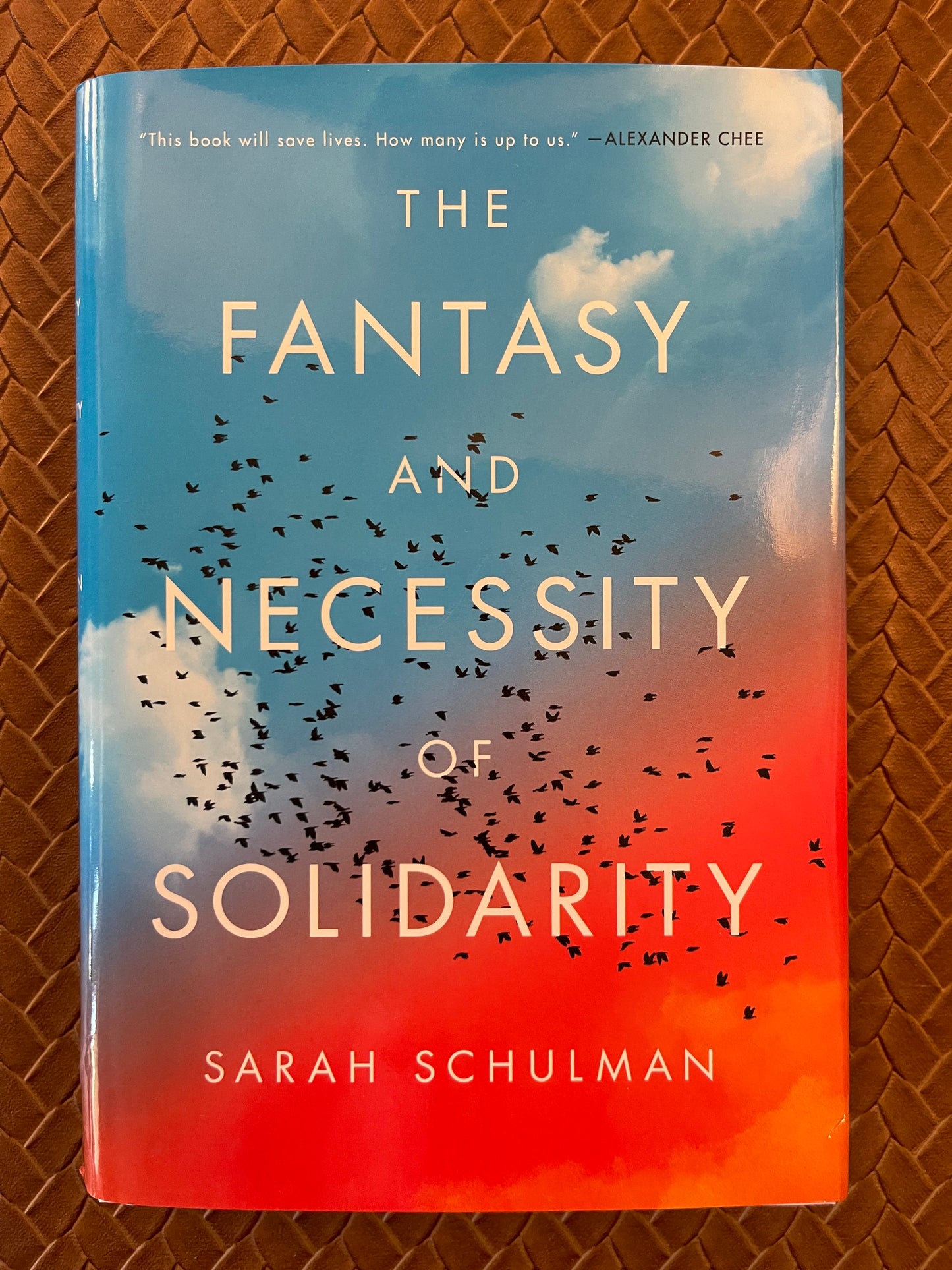 The Fantasy and Necessity of Solidarity by Sarah Schulman (Hardcover)