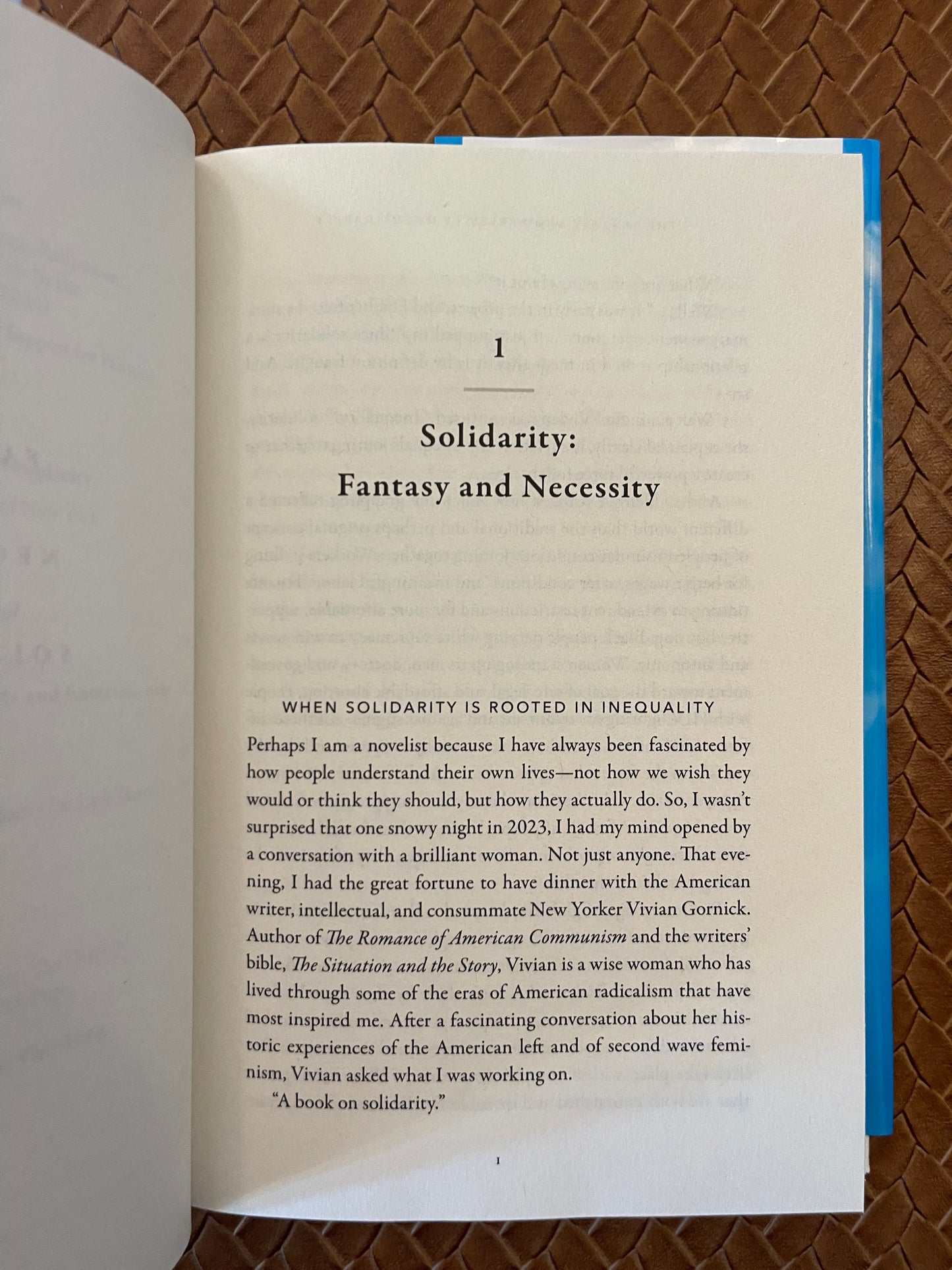 The Fantasy and Necessity of Solidarity by Sarah Schulman (Hardcover)