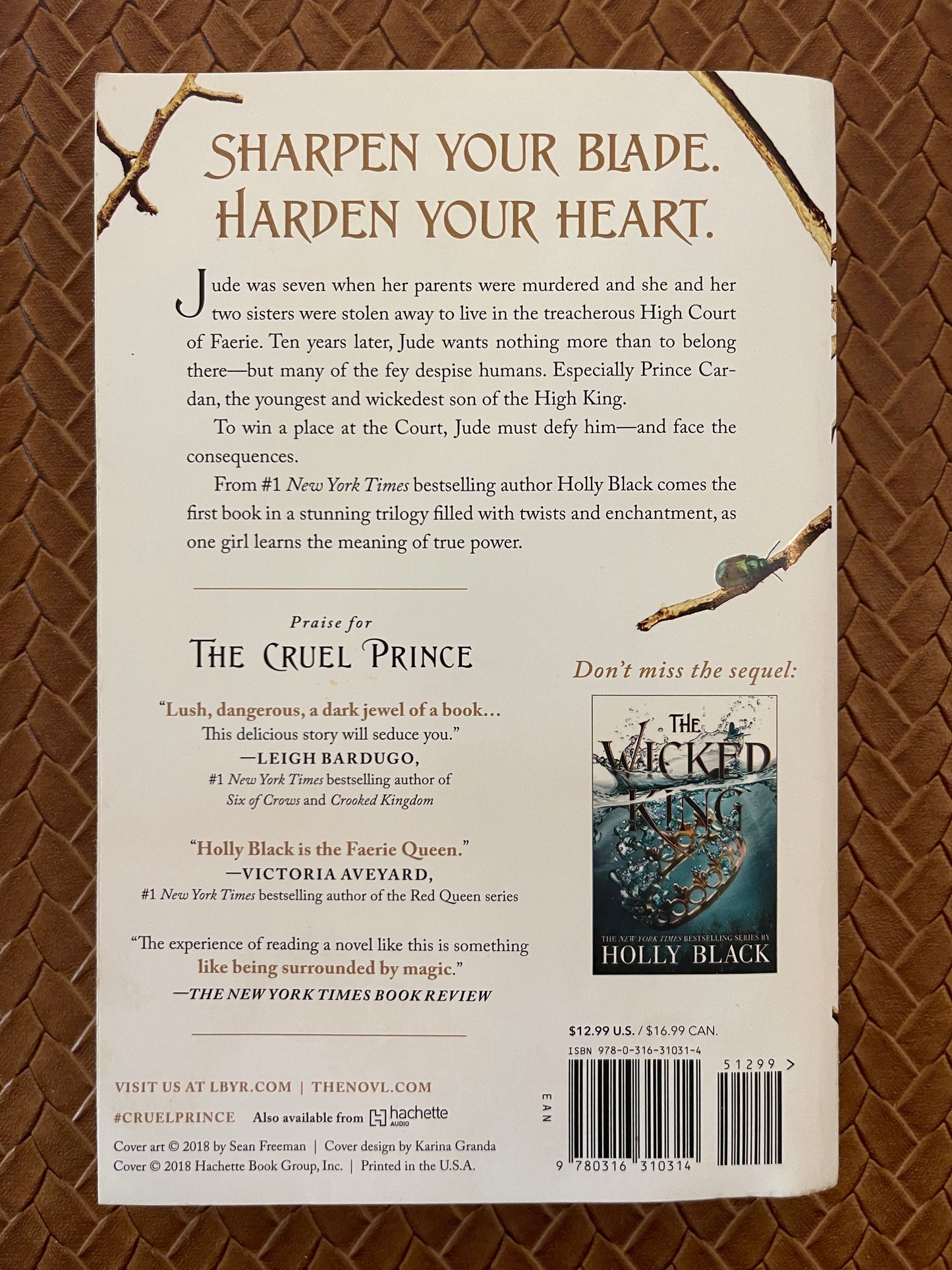 The Folk of the Air #1: The Cruel Prince by Holly Black (Paperback)