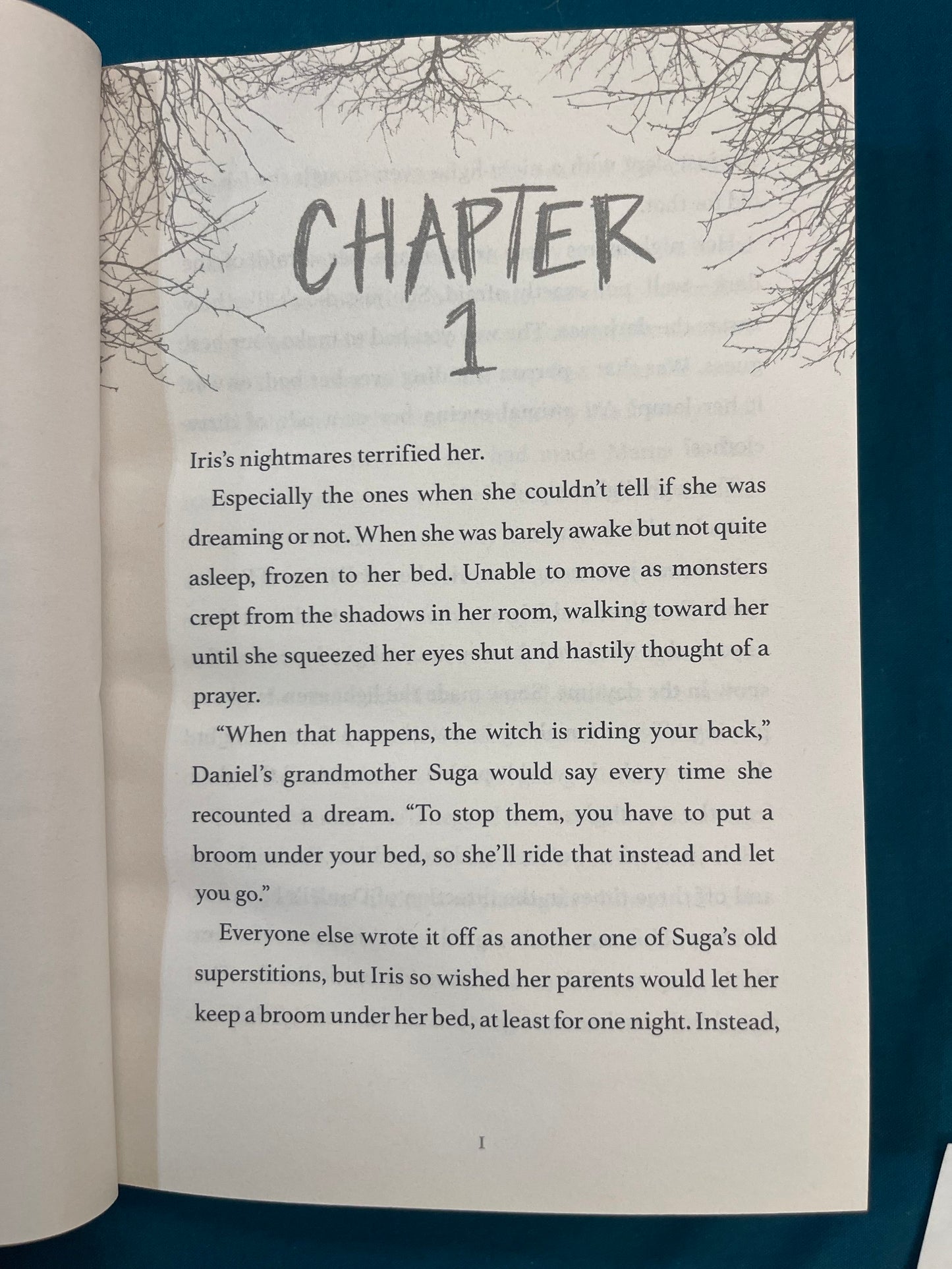The Forgotten Girl by India Hill Brown