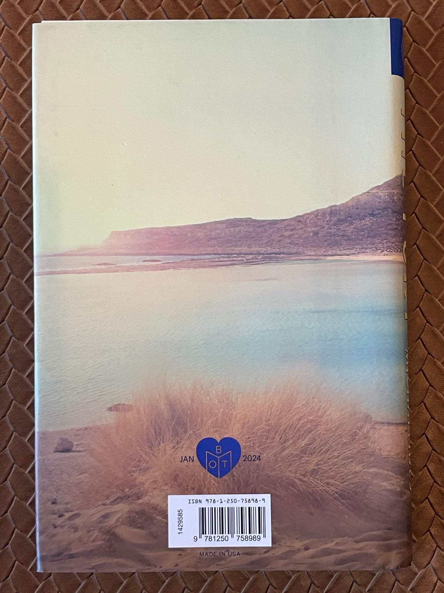The Fury by Alex Michaelides (Hardcover)