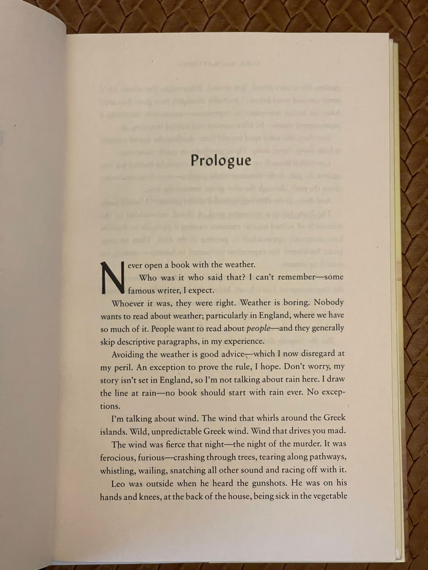 The Fury by Alex Michaelides (Hardcover)