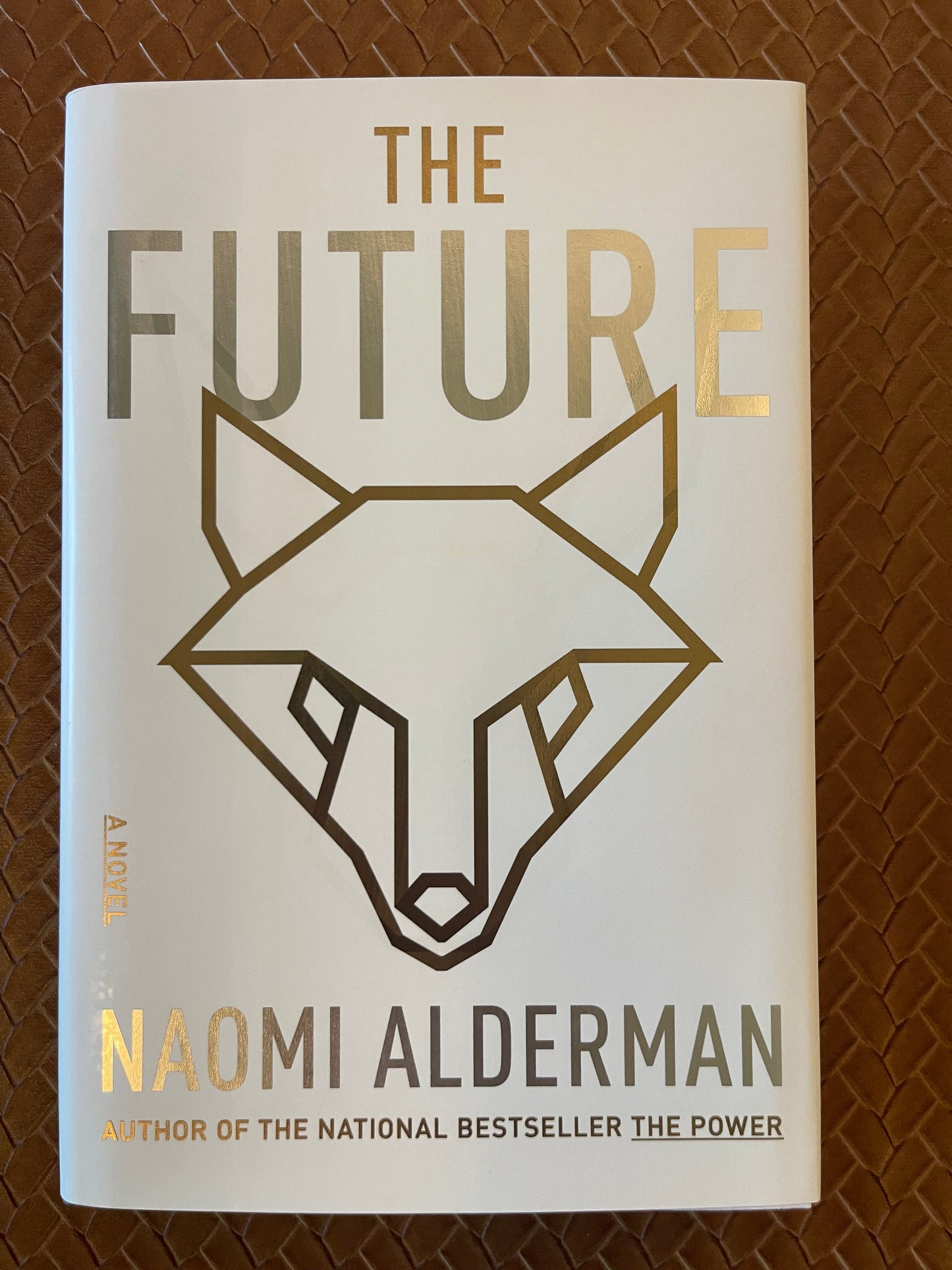 The Future by Naomi Alderman (Hardcover)