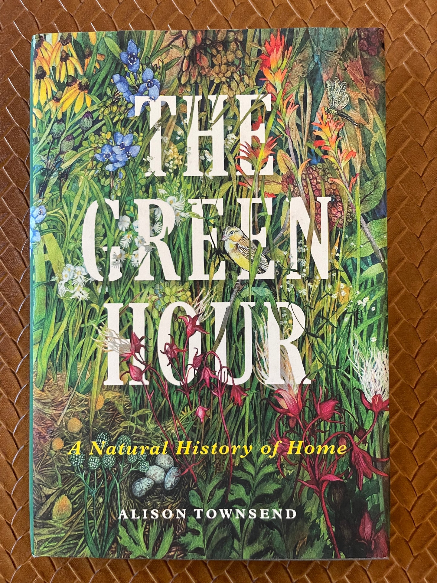 The Green Hour: A Natural History of Home by Alison Townsend (Hardcover)