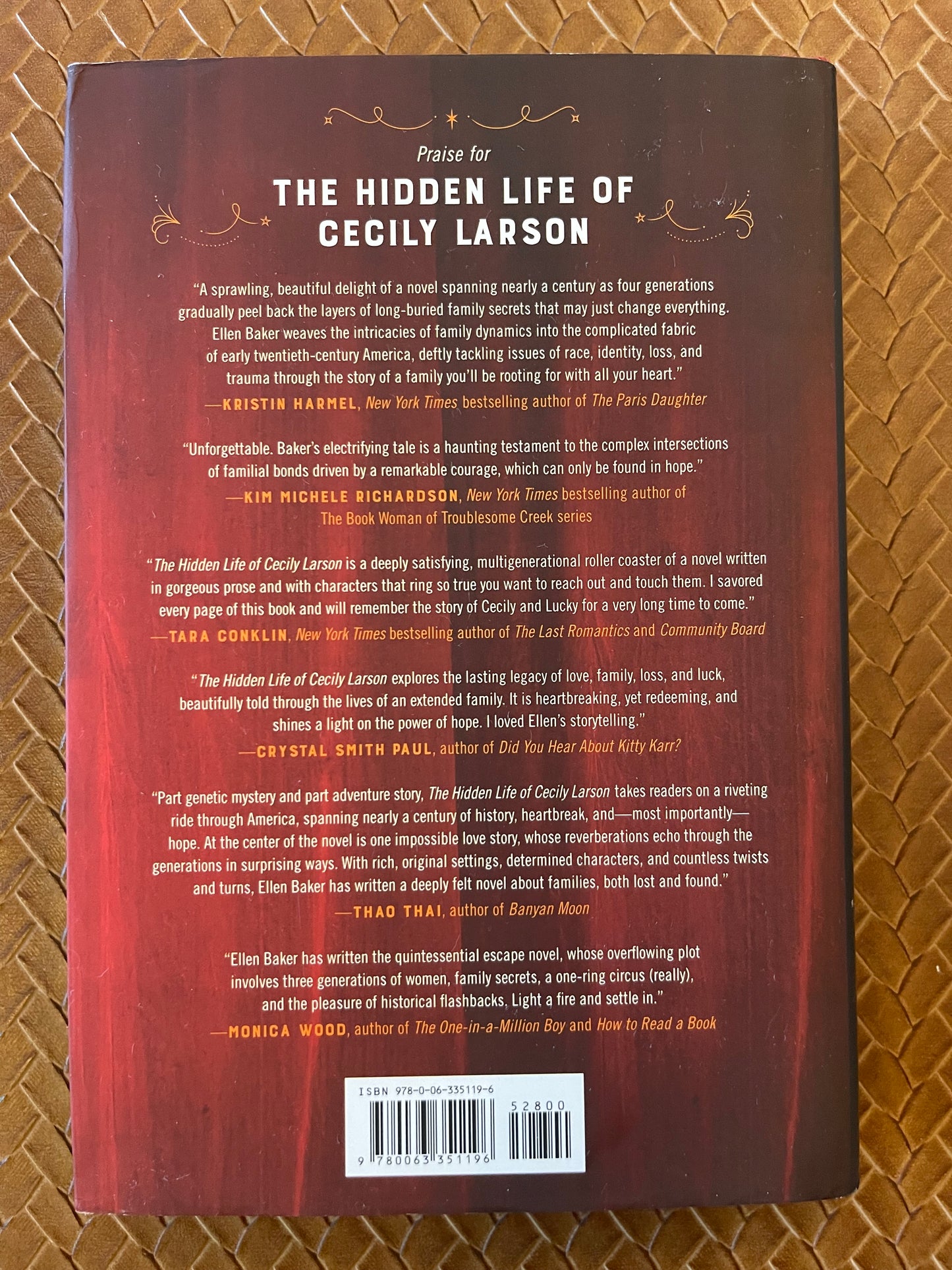 The Hidden Life of Cecily Larson by Ellen Baker (Hardcover)