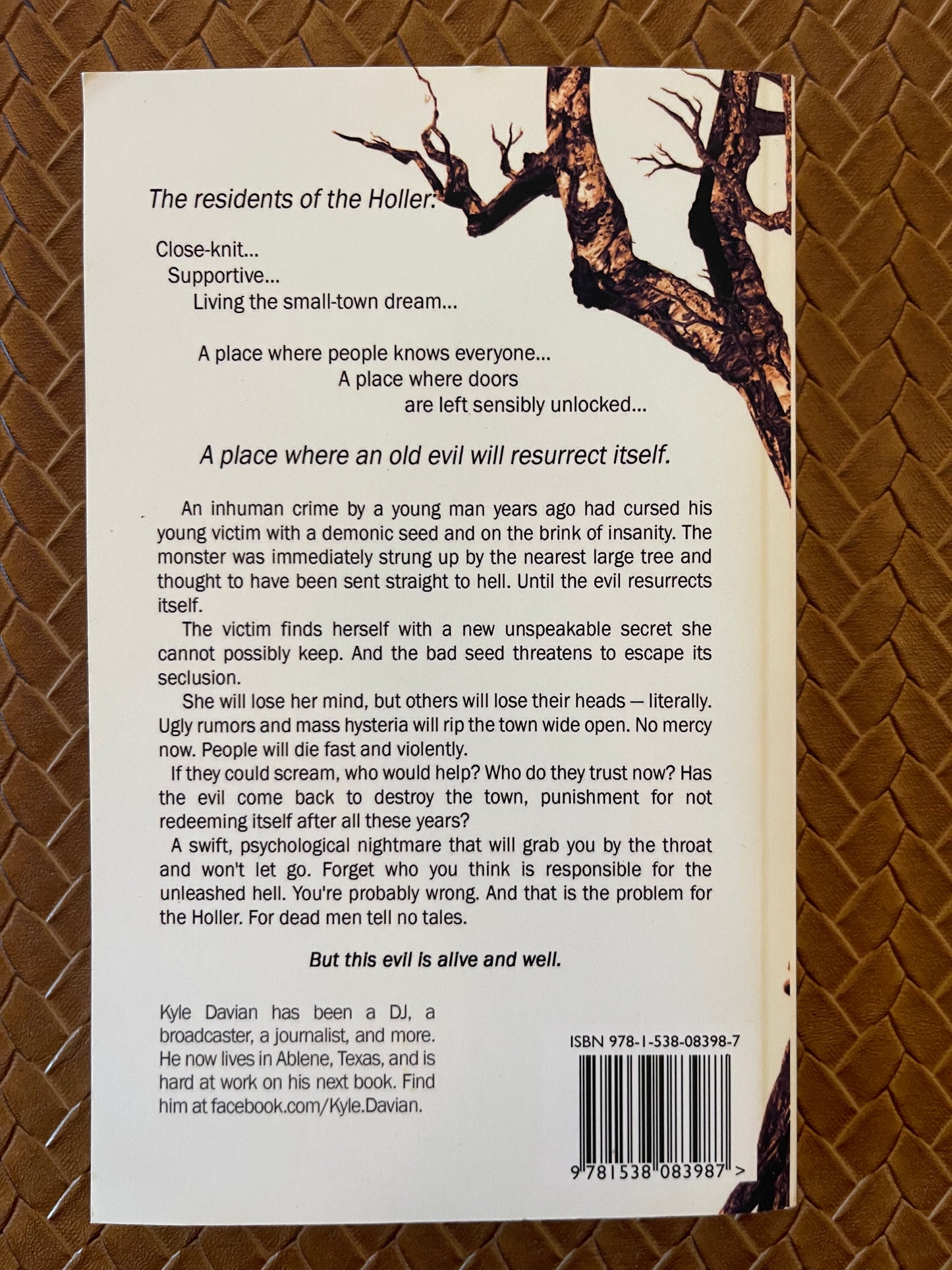 The Holler by Kyle Davian (Paperback)