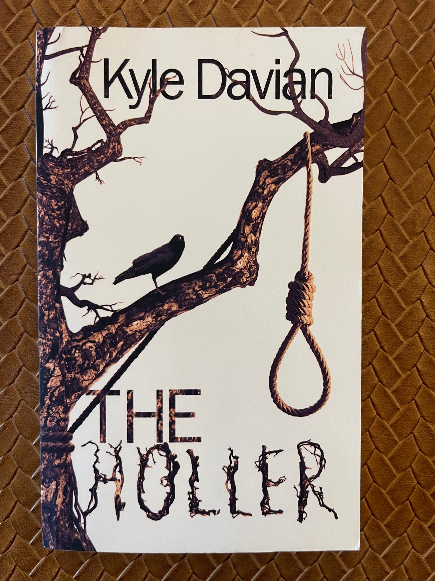 The Holler by Kyle Davian (Paperback)