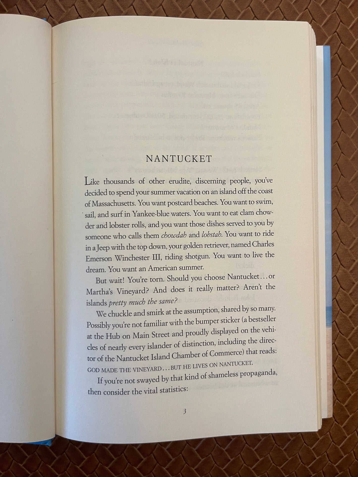 The Identicals: A Novel by Elin Hilderbrand (Hardcover)