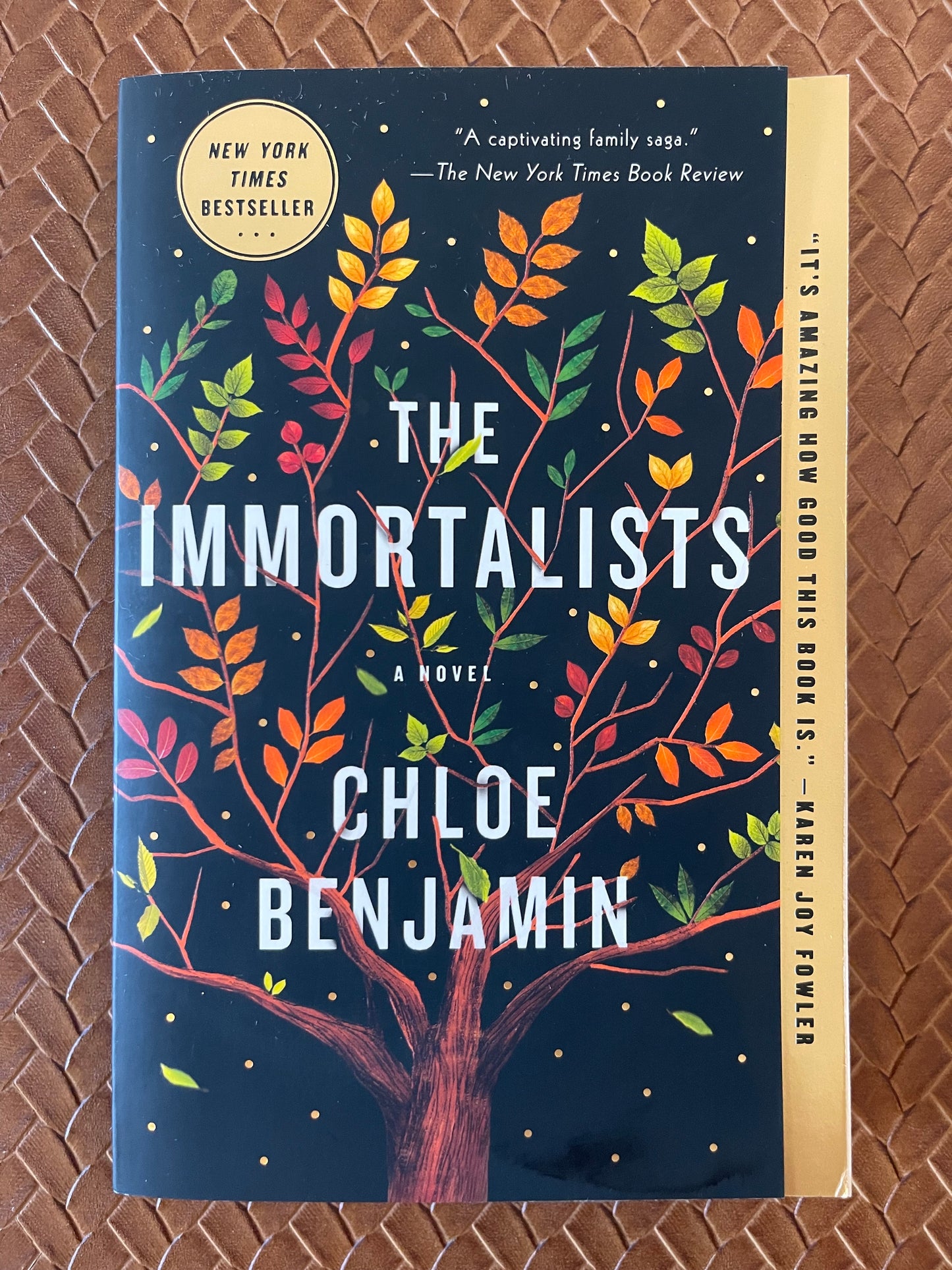 The Immortalists by Chloe Benjamin (Paperback)