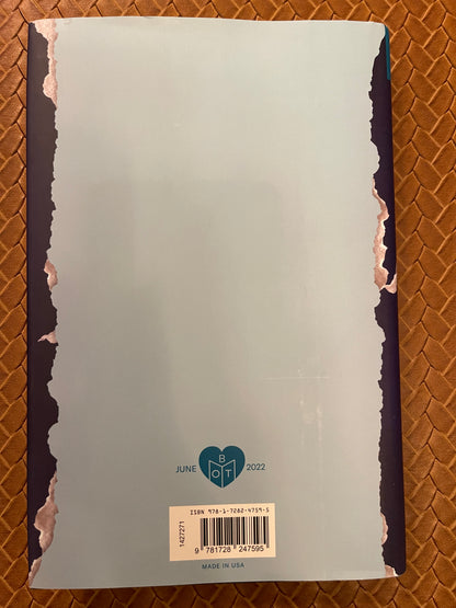 The Lies I Tell by Julie Clark (Hardcover)