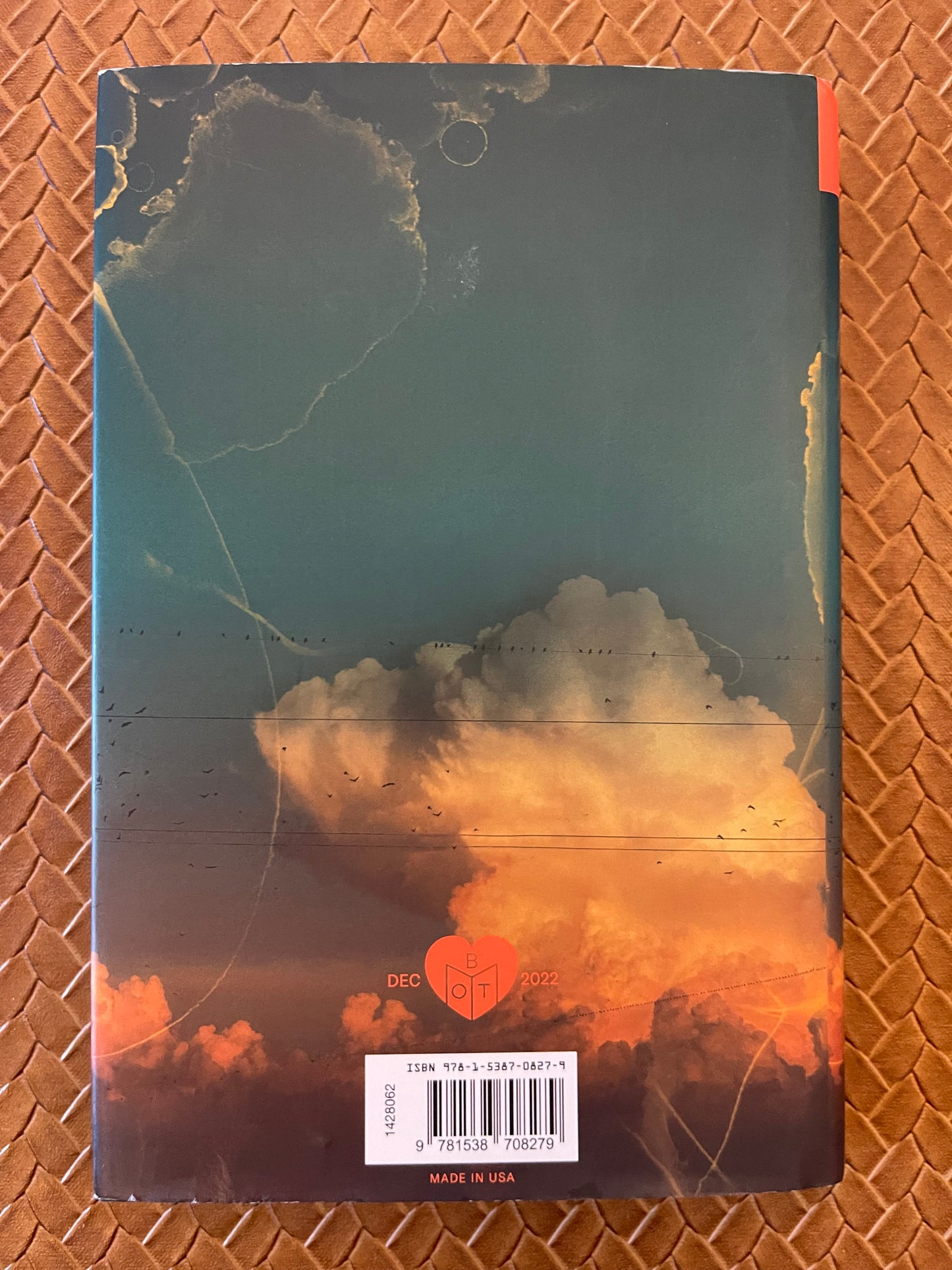 The Light Pirate by Lily Brooks-Dalton (Hardcover)