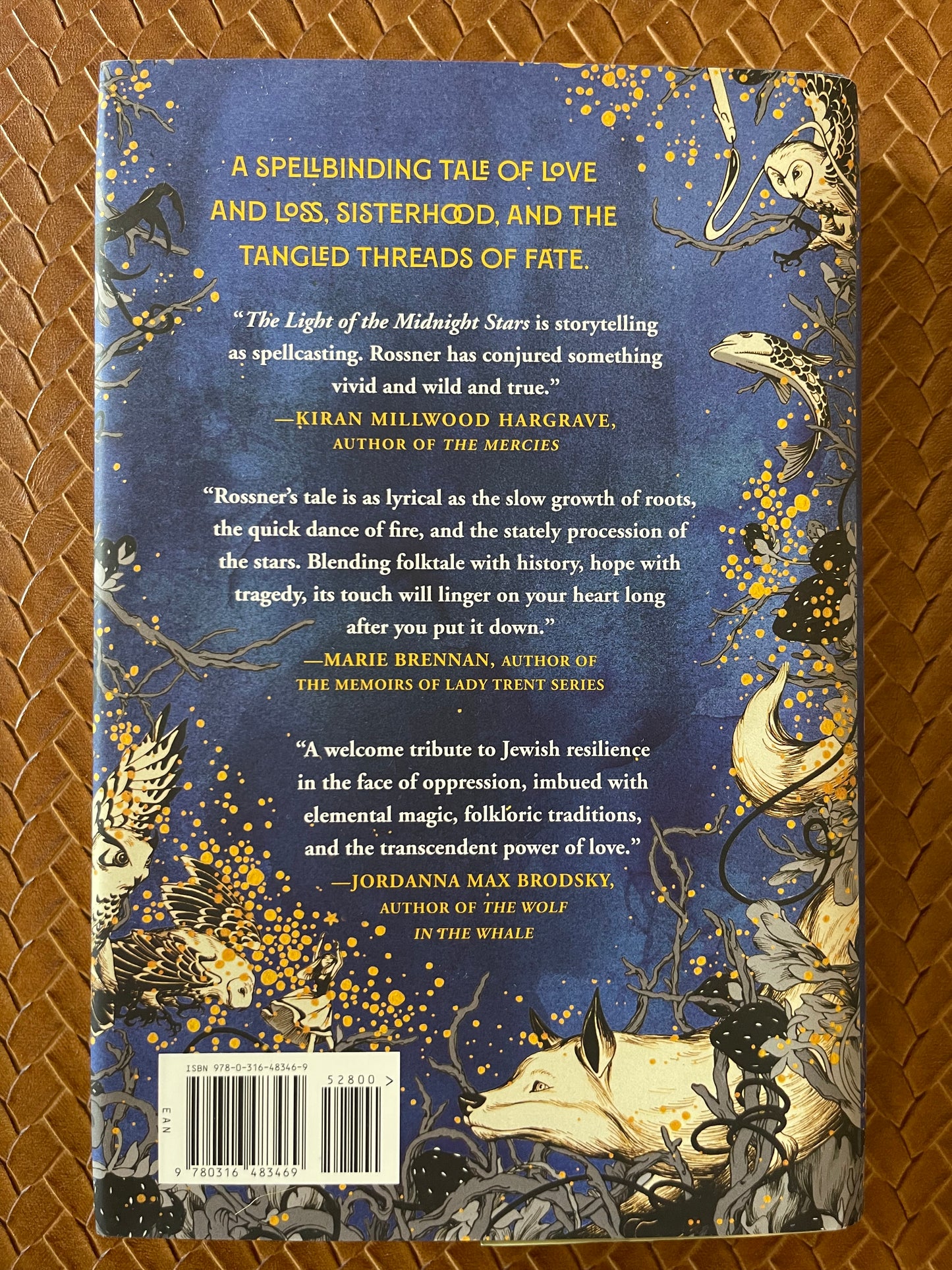 The Light of the Midnight Stars by Rena Rossner (Hardcover)