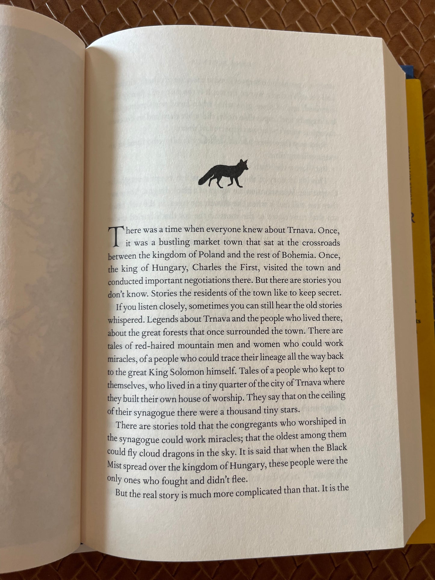 The Light of the Midnight Stars by Rena Rossner (Hardcover)