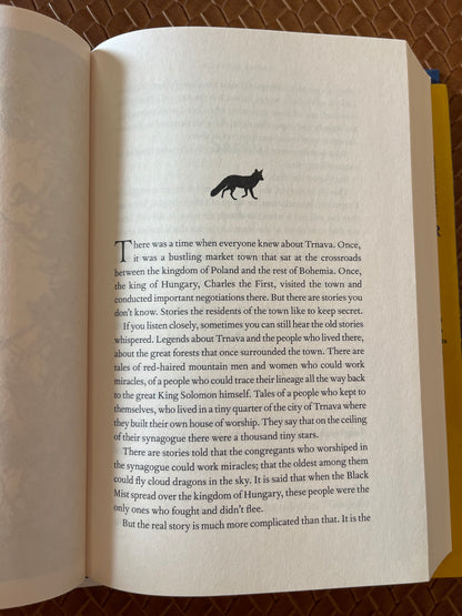 The Light of the Midnight Stars by Rena Rossner (Hardcover)