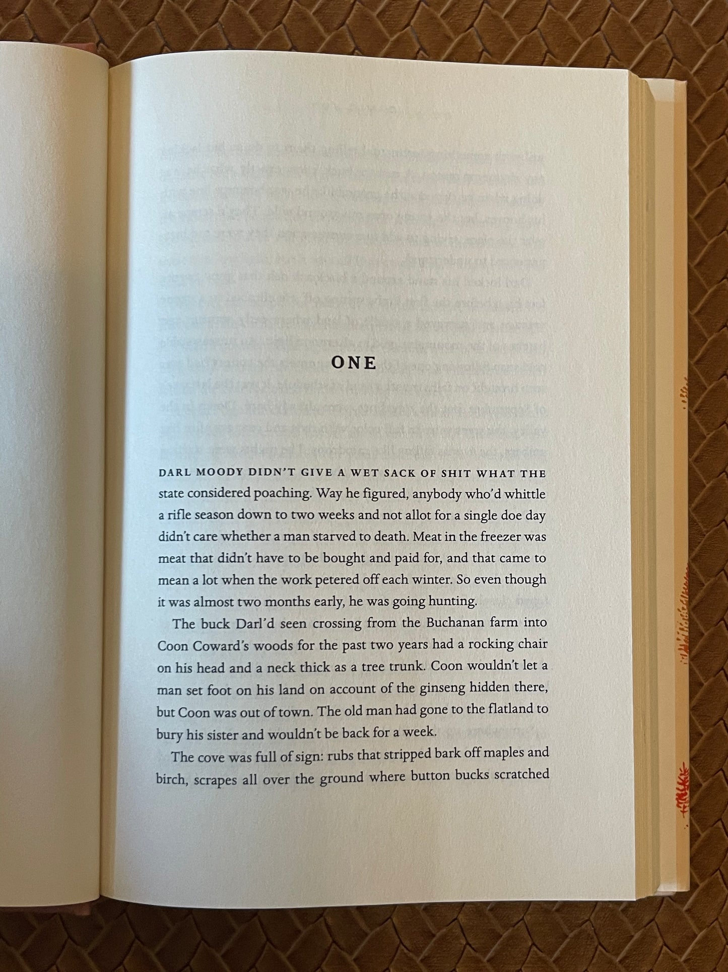 The Line That Held Us by David Joy (Hardcover)
