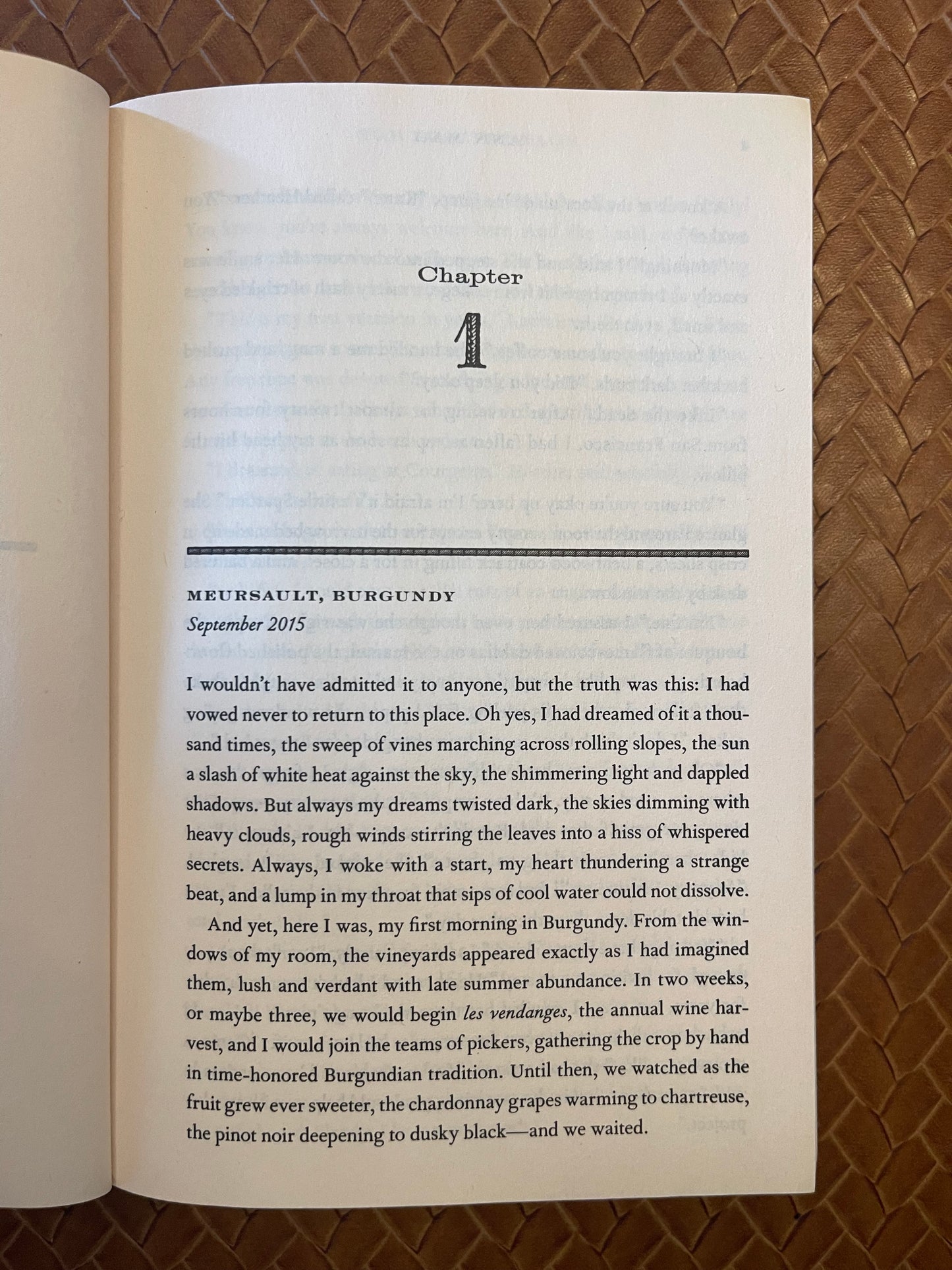 The Lost Vintage: A Novel by Ann Mah (Paperback)