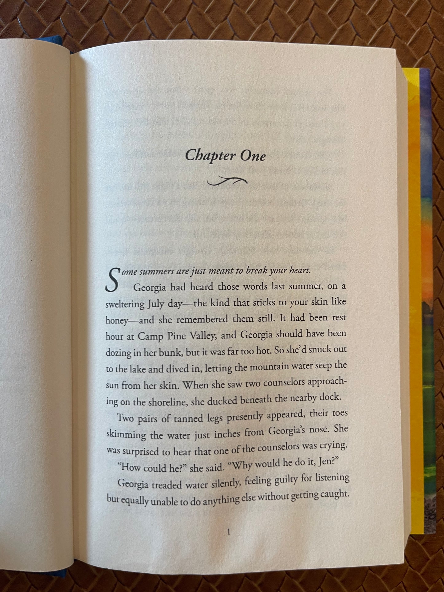 The Mending Summer by Ali Standish (Hardcover)