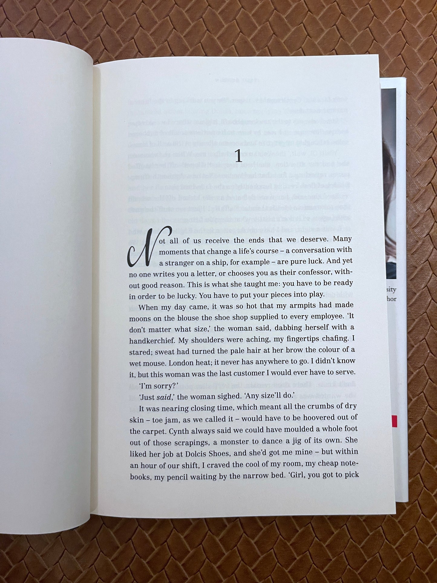 The Muse by Jessie Burton (Hardcover)
