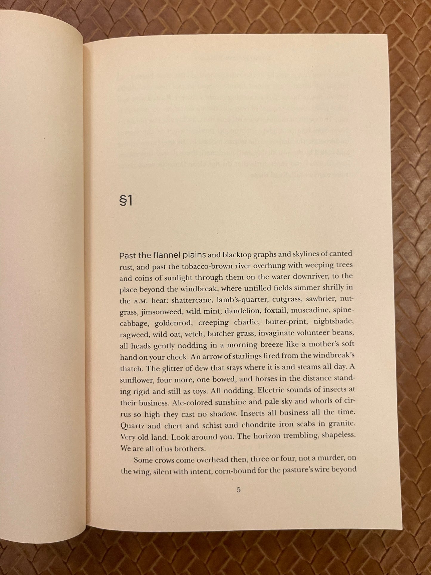 The Pale King by David Foster Wallace (Paperback)
