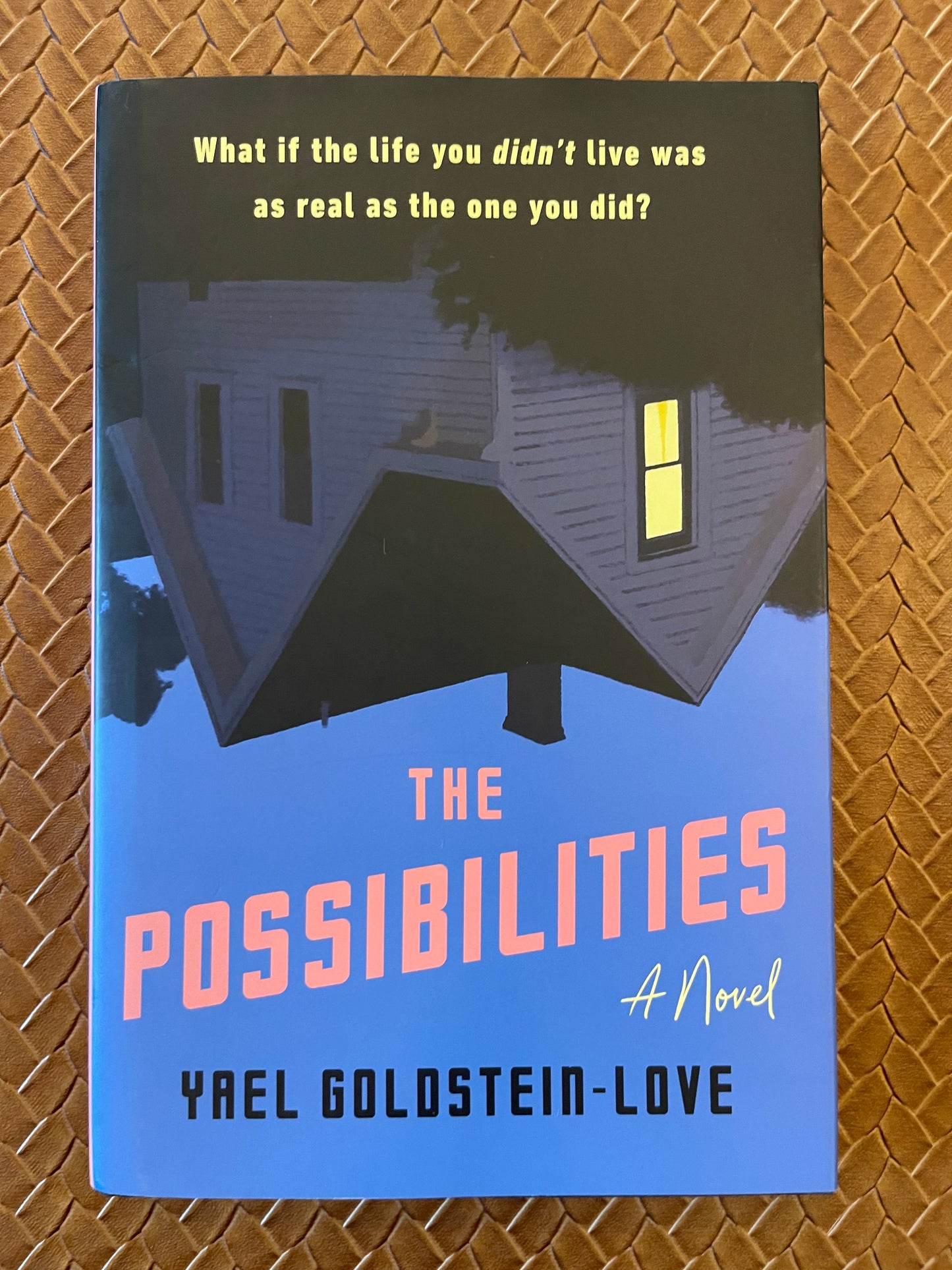 The Possibilities by Yael Goldstein-Love (Hardcover)