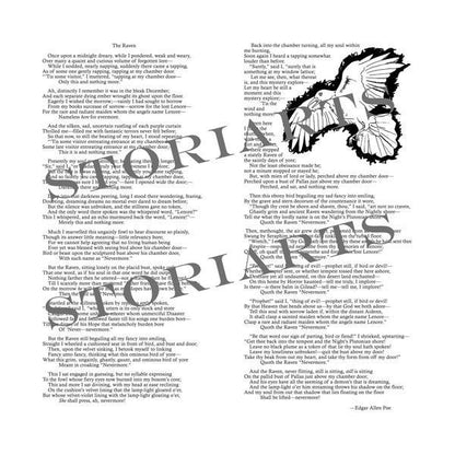 The Raven Lightweight Literary Scarf