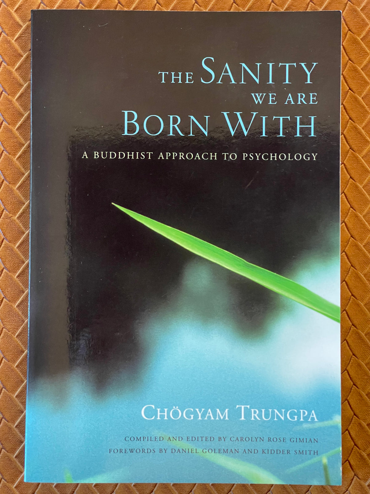 The Sanity We Are Born With: A Buddhist Approach to Psychology by Chogyam Trungpa, Daniel Goleman (Paperback)