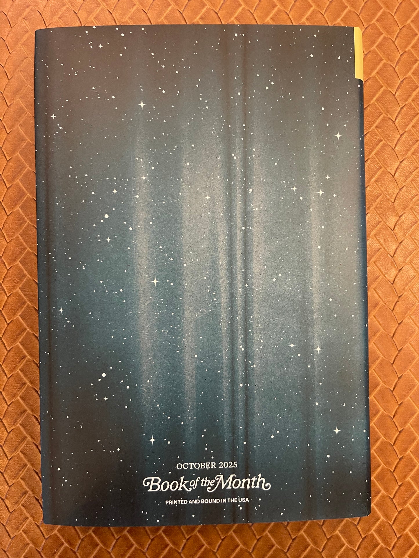 The Second Chance Cinema by Thea Weiss (Hardcover)